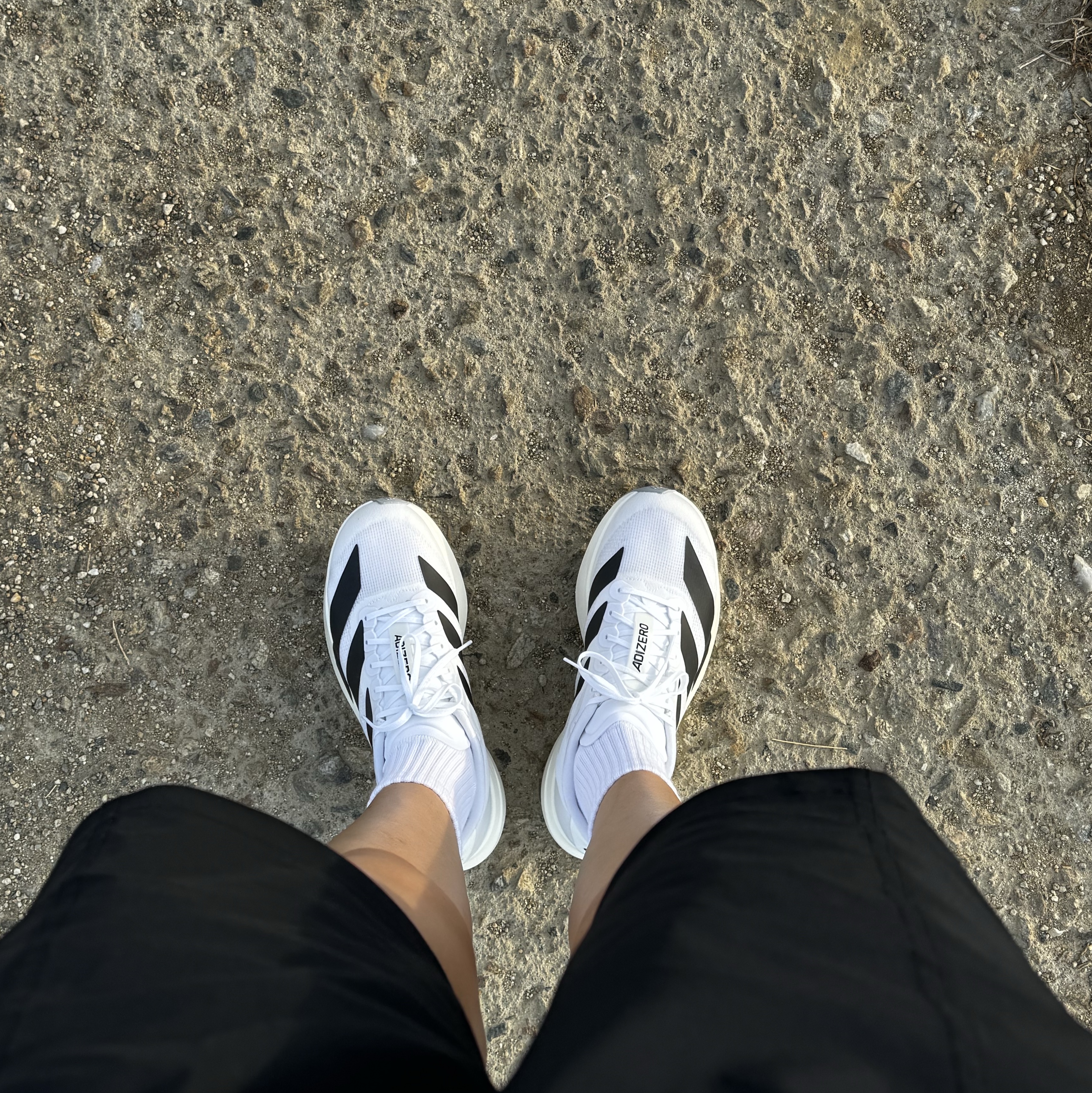 (W) Adidas Adizero EVO SL Cloud White Core Black 착용 스타일 - 2
