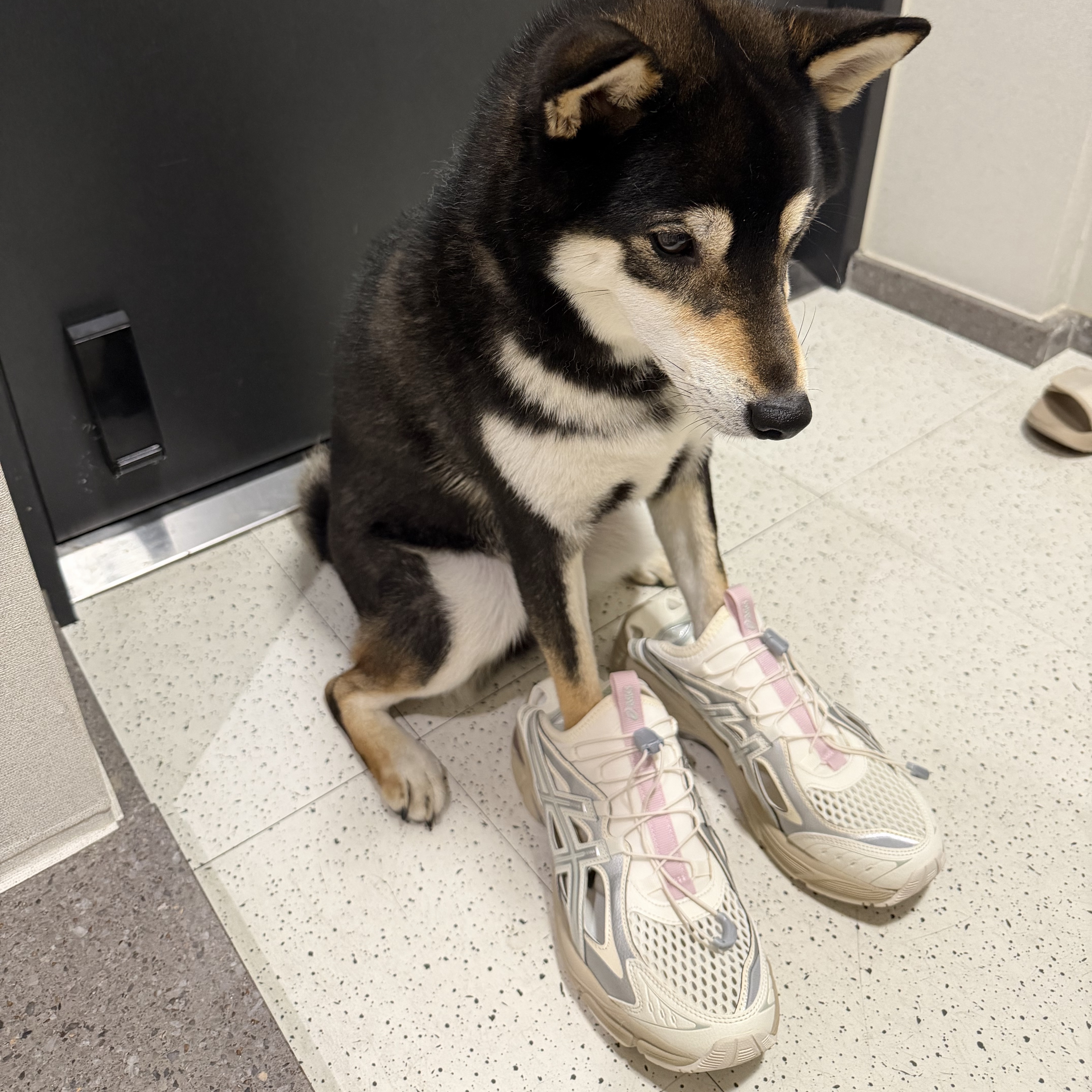 Asics GT-2160 Breeze Cream Pure Silver, Chrome Hearts Horseshoe Logo T-Shirt Black Pink 착용 스타일 - 3
