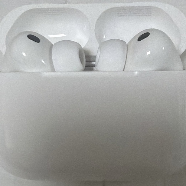 Apple AirPods Pro 3rd Gen (Korean Ver.) 착용 스타일 - 1