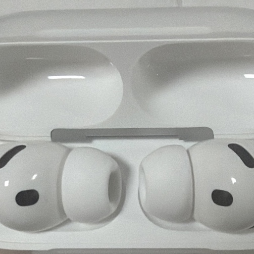 Apple AirPods Pro 3rd Gen (Korean Ver.) 착용 스타일 - 2