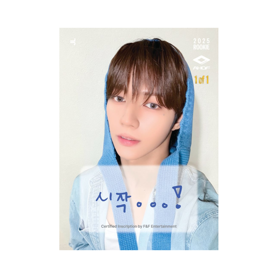 테레카 아홉 인스크립션 제이엘(TELECA Ahof Inscription Jl)