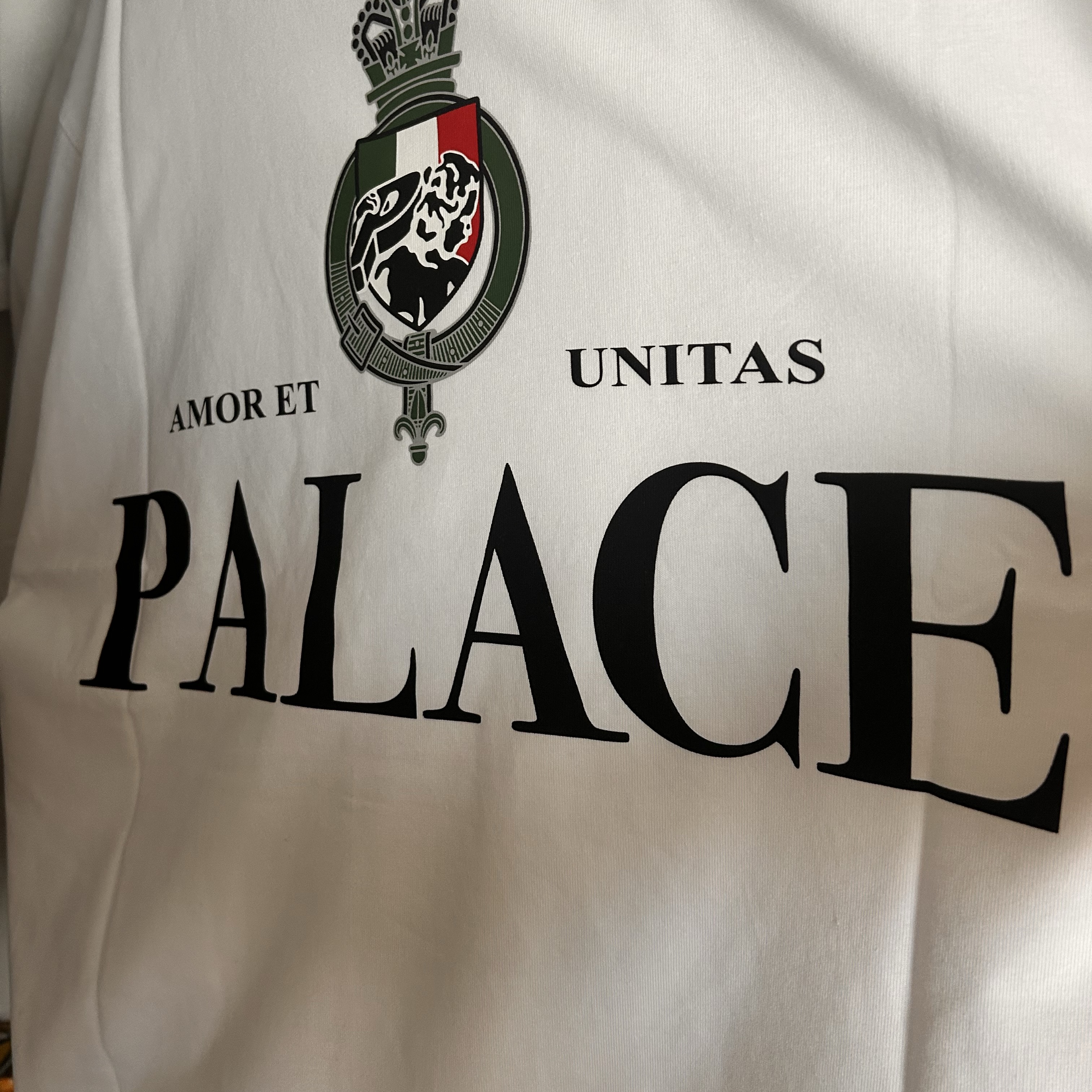 Palace Heavy Crest T-Shirt White - 26SS 착용 스타일 - 2