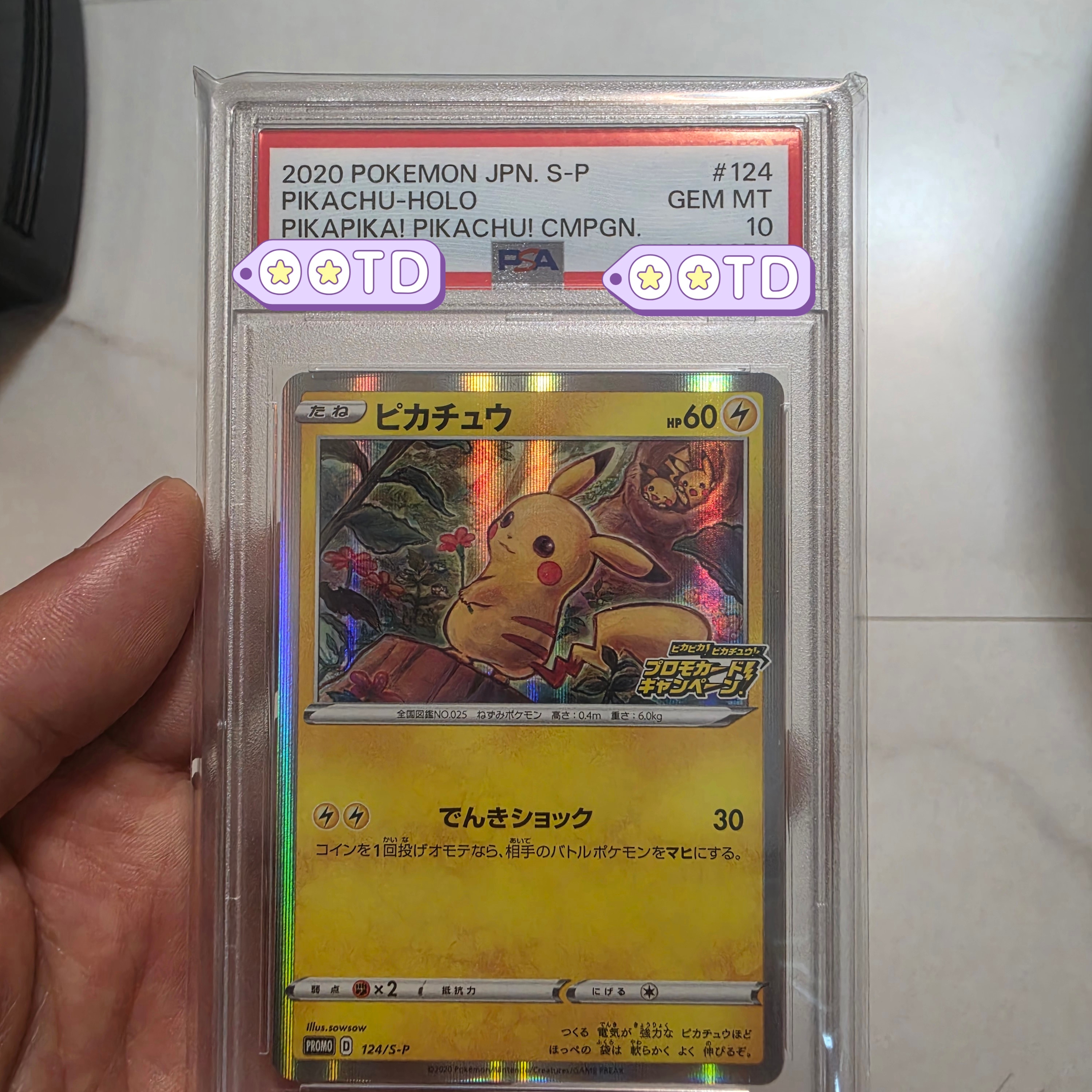 Pokemon TCG Pikachu P Sword & Shield Promos (Japanese Ver.) 착용 스타일