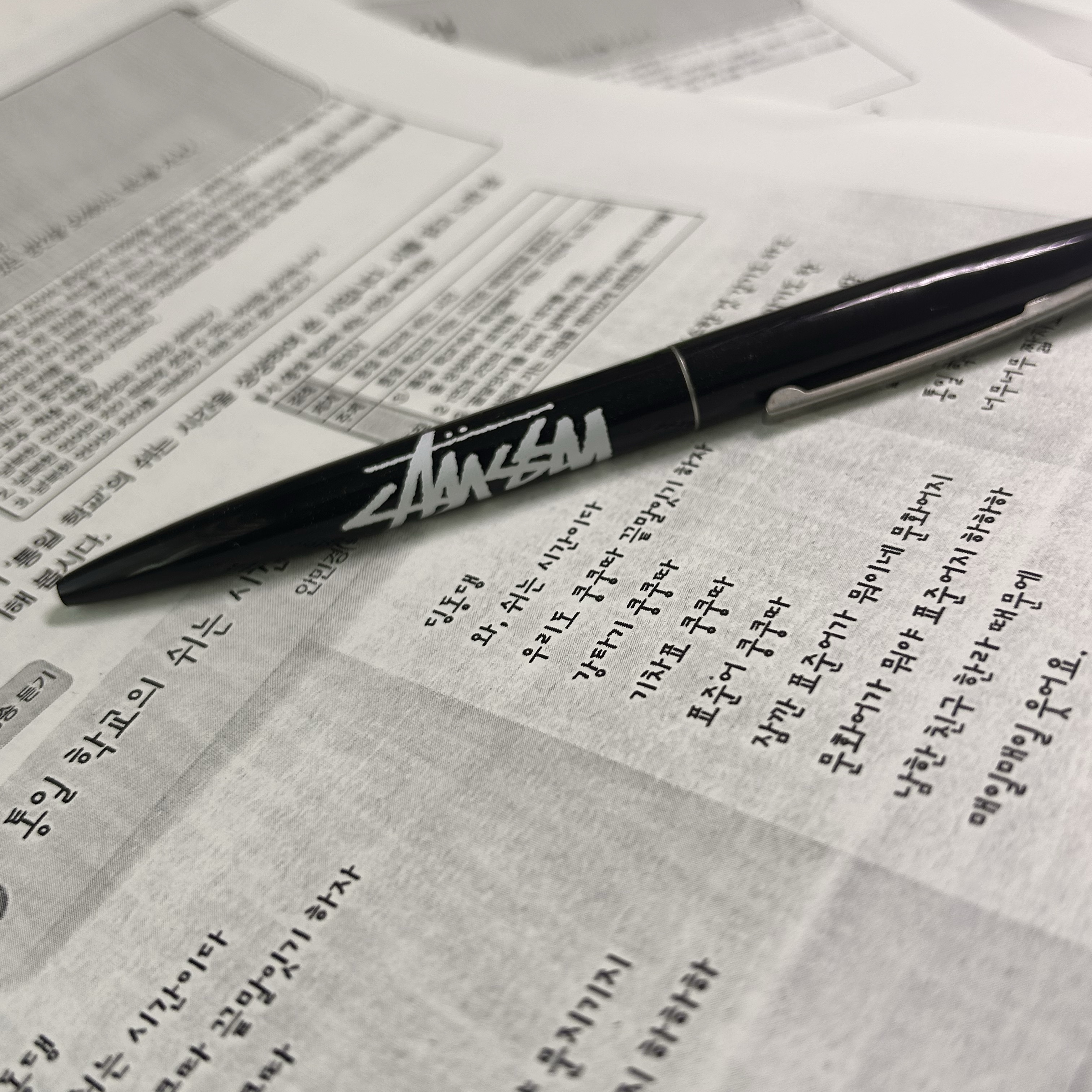 Stussy BIC Clip Pen Black 착용 스타일