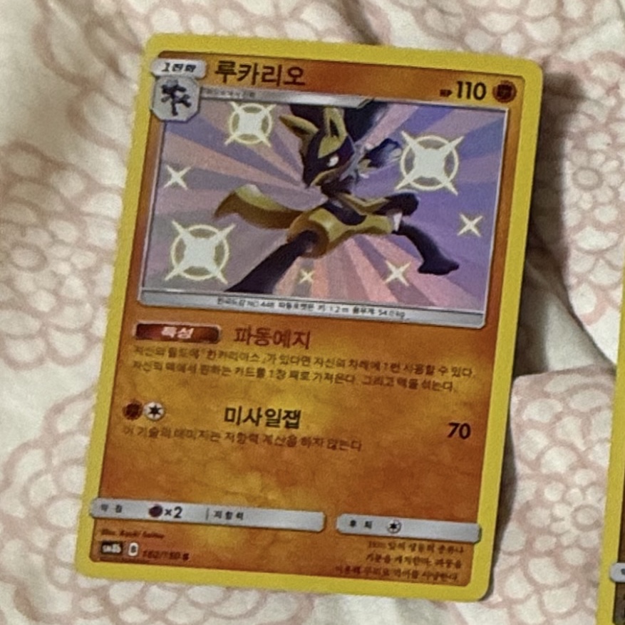 Pokemon TCG Lucario RS Hidden Fates (English Ver.) 착용 스타일