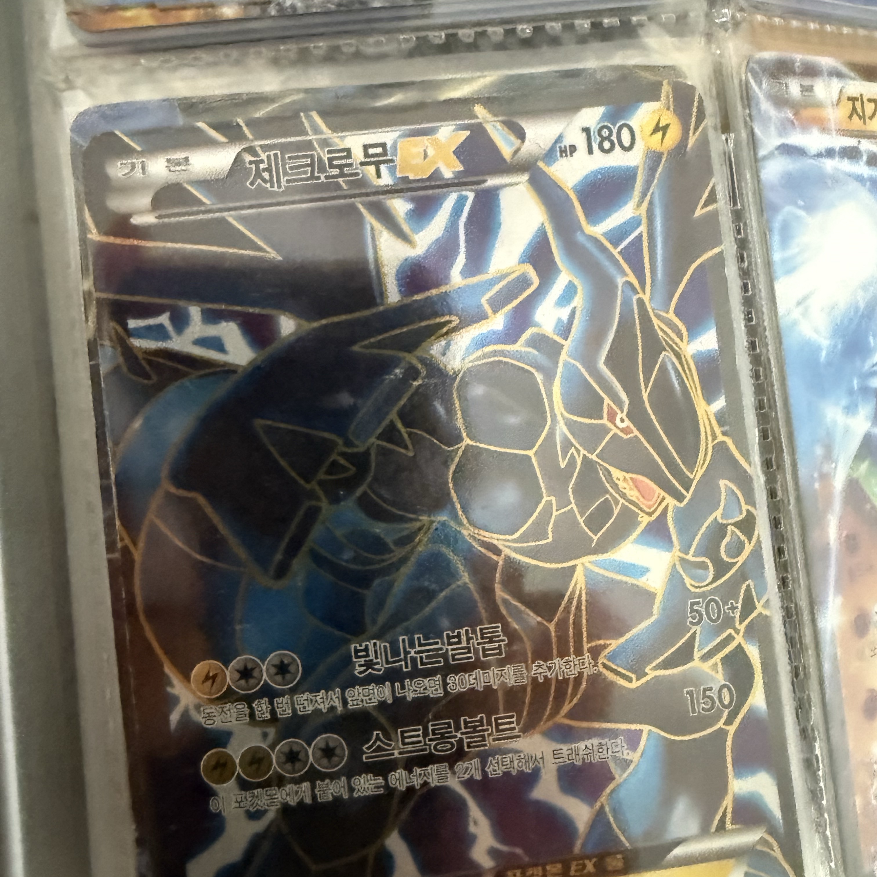 Pokemon TCG Zekrom ex P Black & White Promos (Japanese Ver.) 착용 스타일