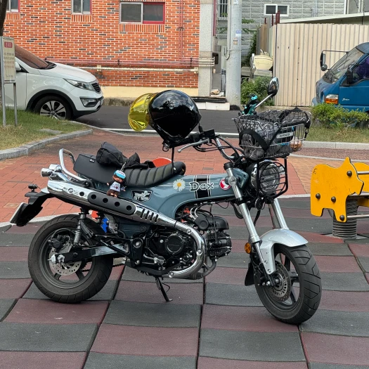 스타일 카드