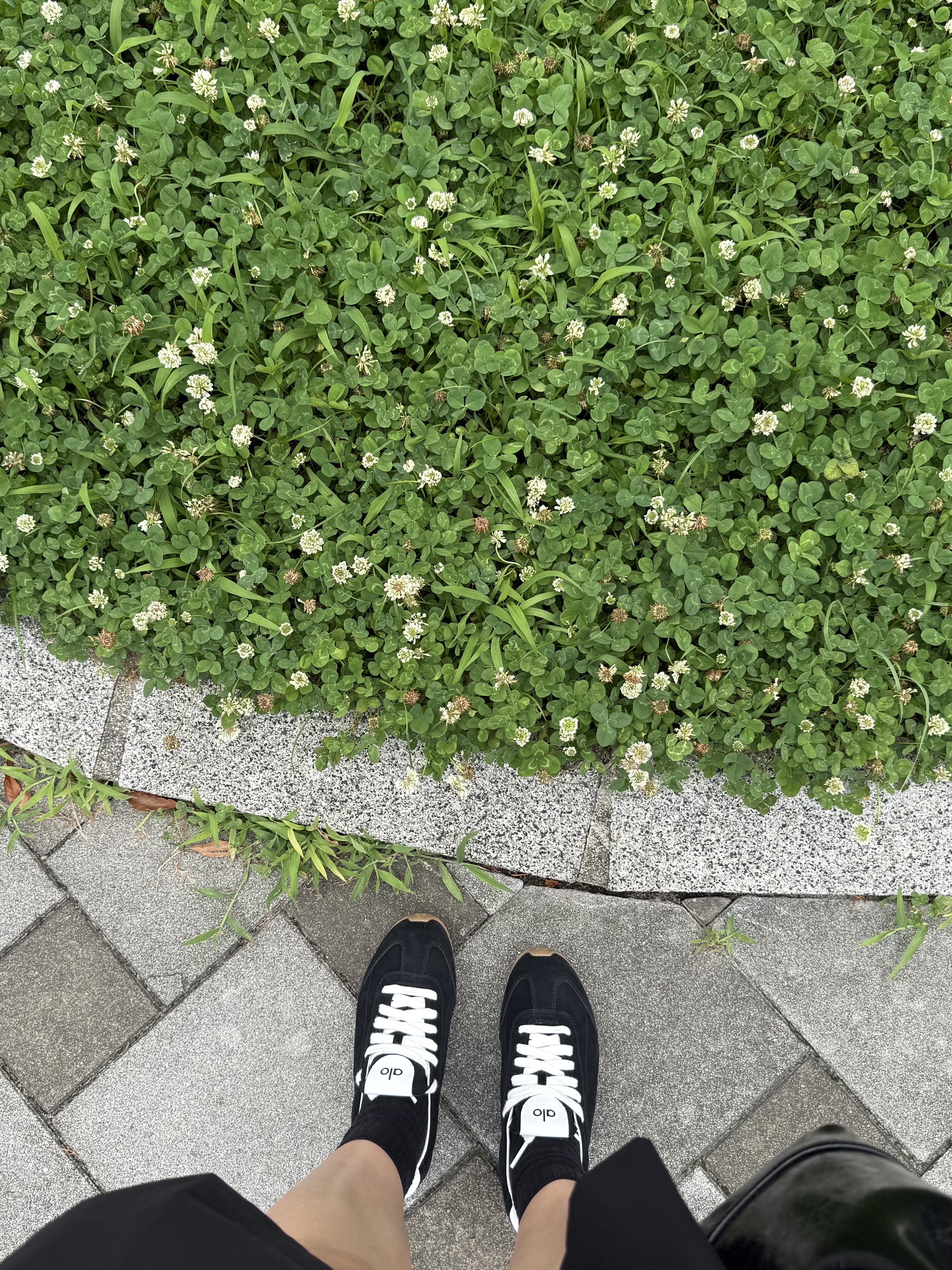 (W) Alo Yoga Sunset Sneaker Black 착용 스타일