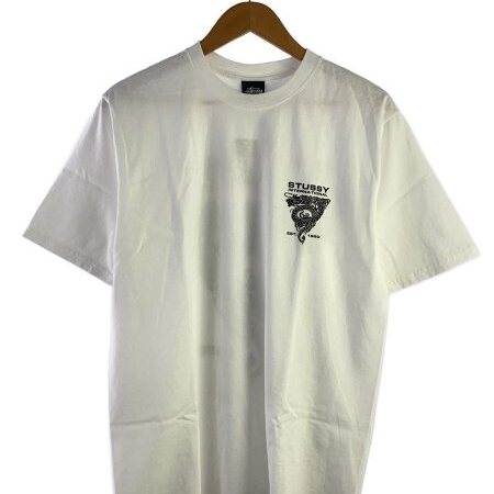 Stussy Dragon T-Shirt White, Stussy Dragon T-Shirt Black 착용 스타일 - 2