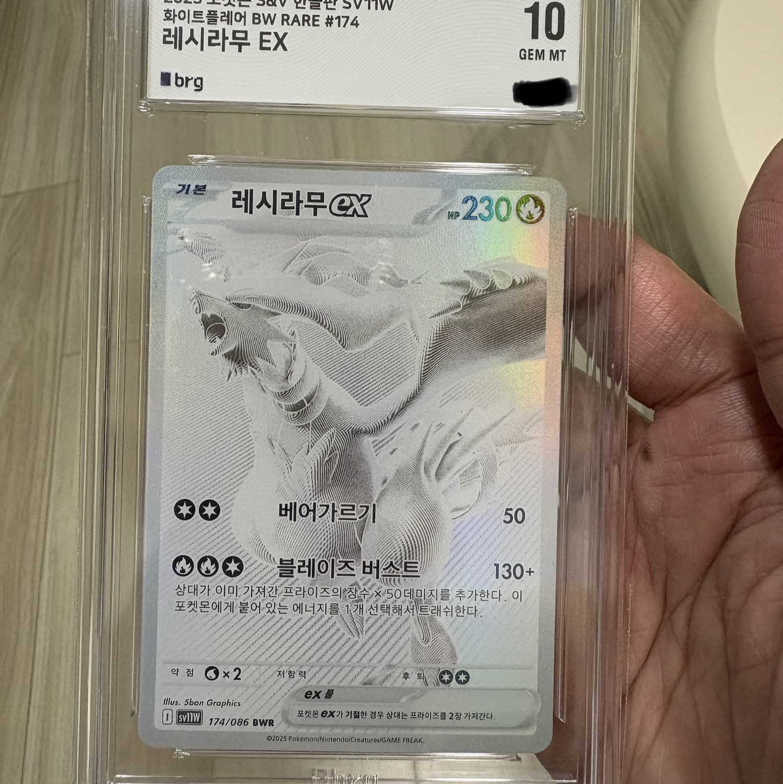Pokemon TCG Reshiram ex BWR White Flare (Korean Ver.) 착용 스타일