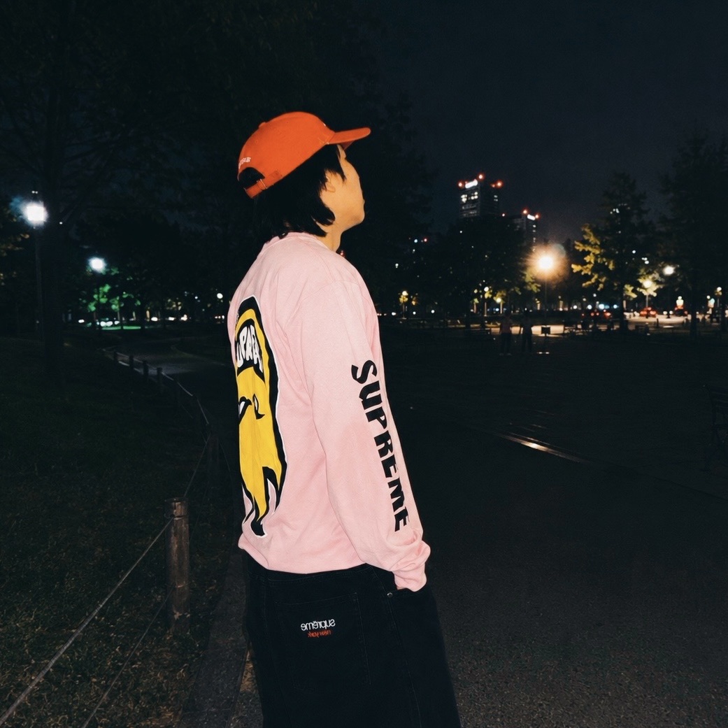 Supreme x Spitfire L/S T-Shirt Light Pink - 26SS, Supreme Baggy Denim Short Black - 26SS 착용 스타일