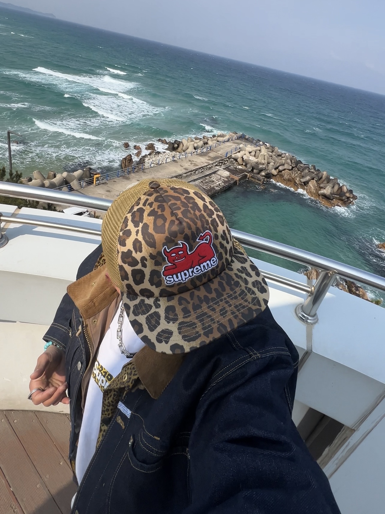 Supreme x Toy Machine Mesh Back 5-Panel Leopard - 24SS, Supreme x Barbour Lightweight Waxed Cotton Field Jacket Leopard - 20SS 착용 스타일