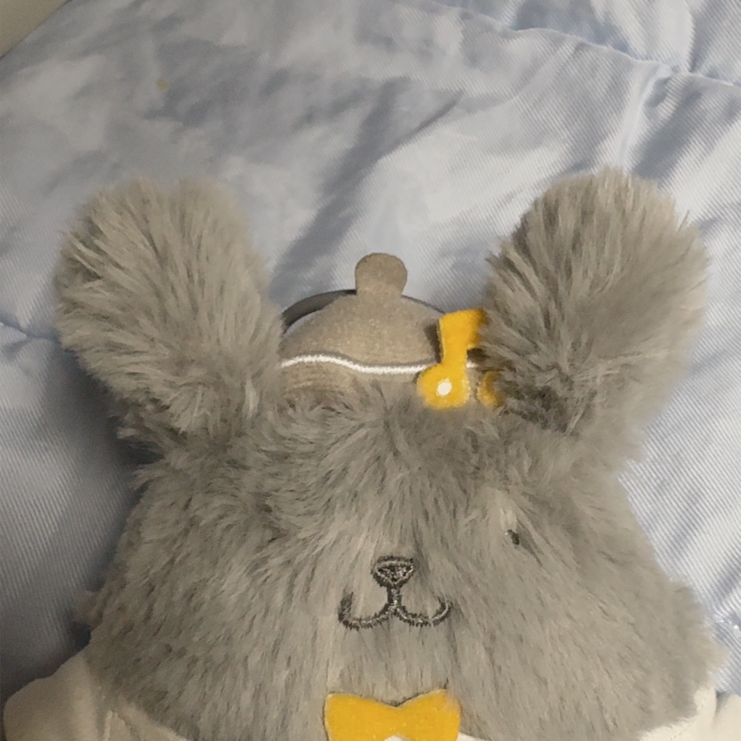 SJF X POMPOMPURIN PLUSH KEYCHAIN - GRAY, SJF X POMPOMPURIN PLUSH KEYCHAIN - PINK 착용 스타일 - 1