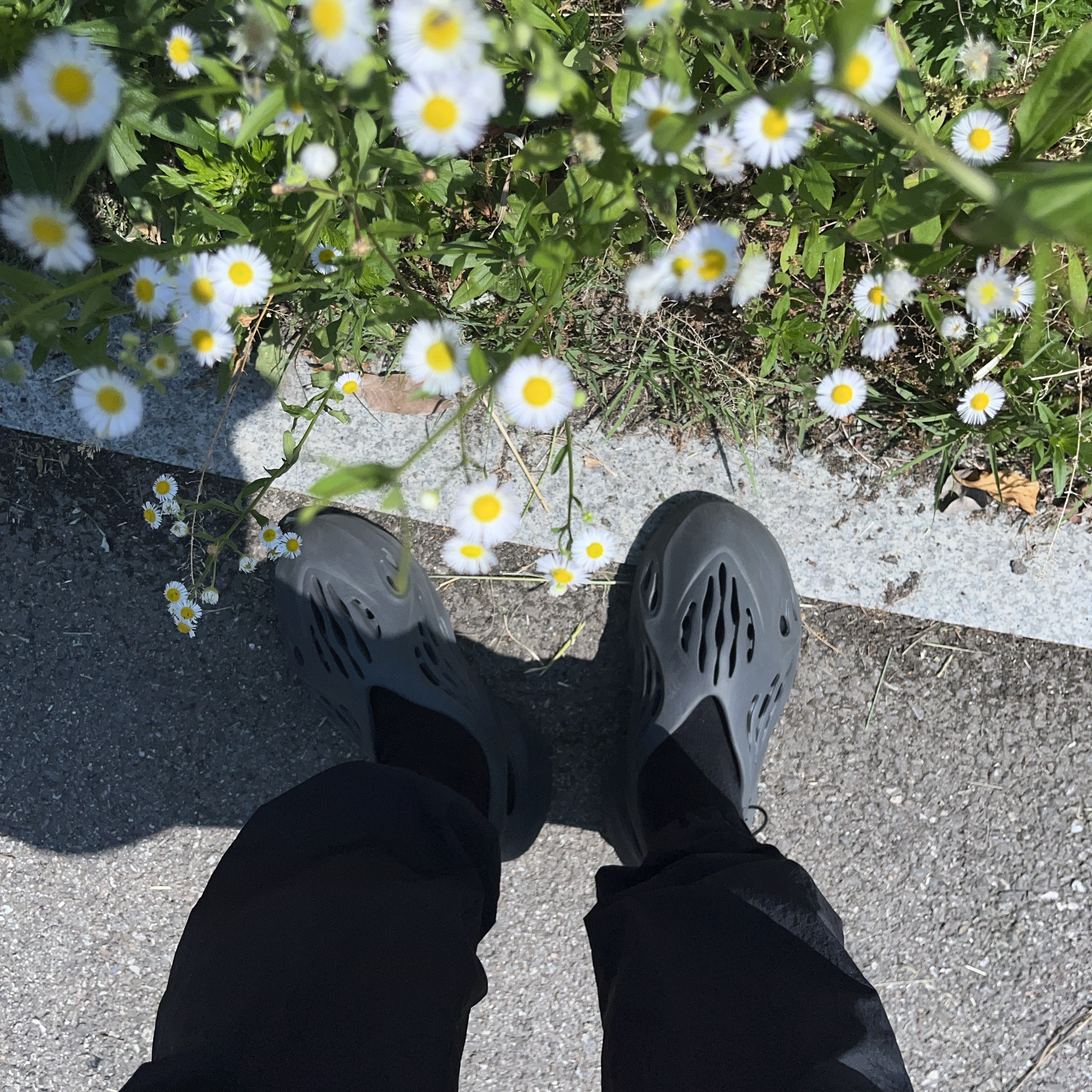 Adidas Yeezy Foam RNNR Carbon 착용 스타일