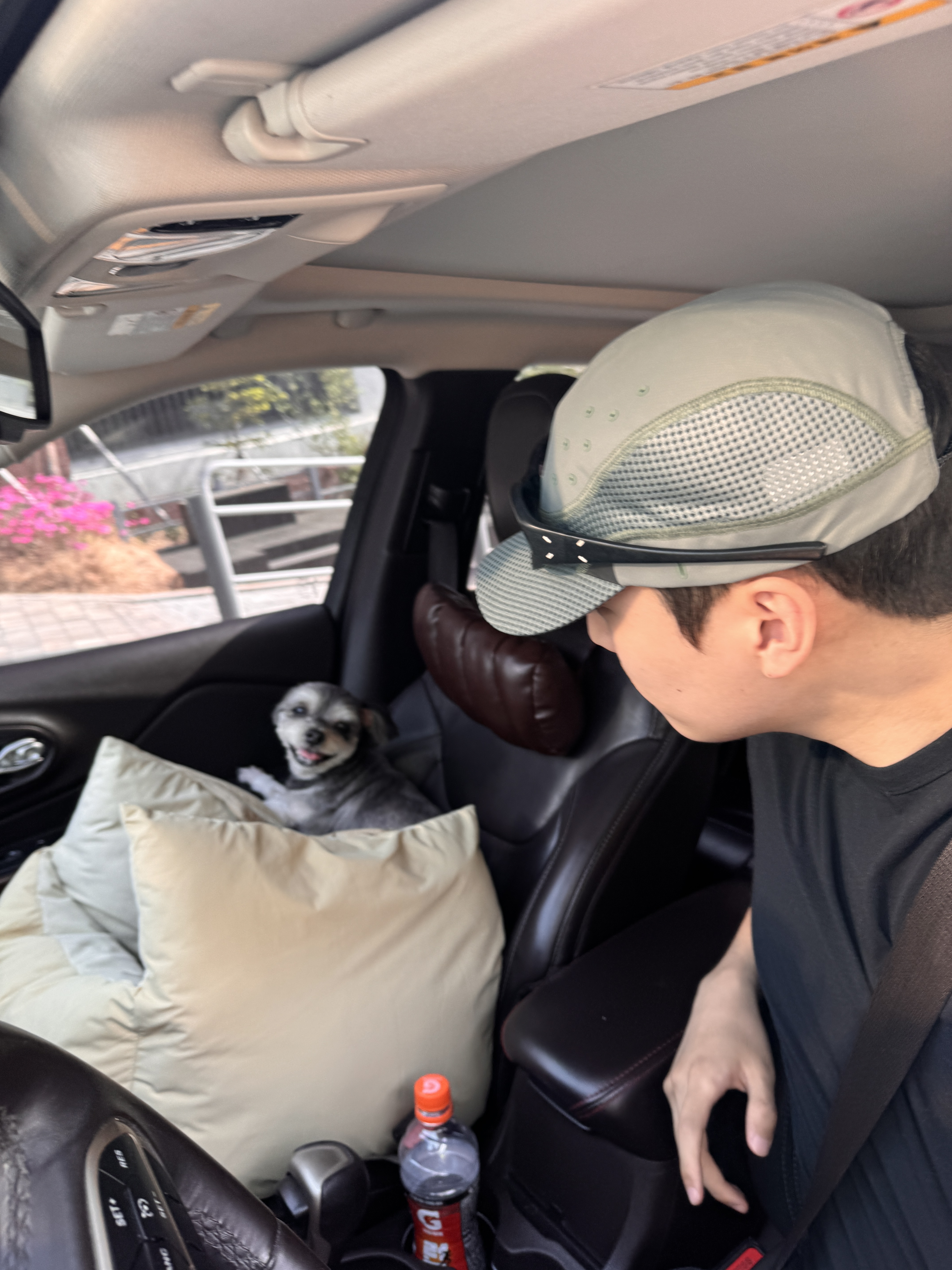 Oakley Fusion Golf Cap Aviator Green - 26SS, Gentle Monster x Maison Margiela MM105 Leather Black Black 착용 스타일 - 1