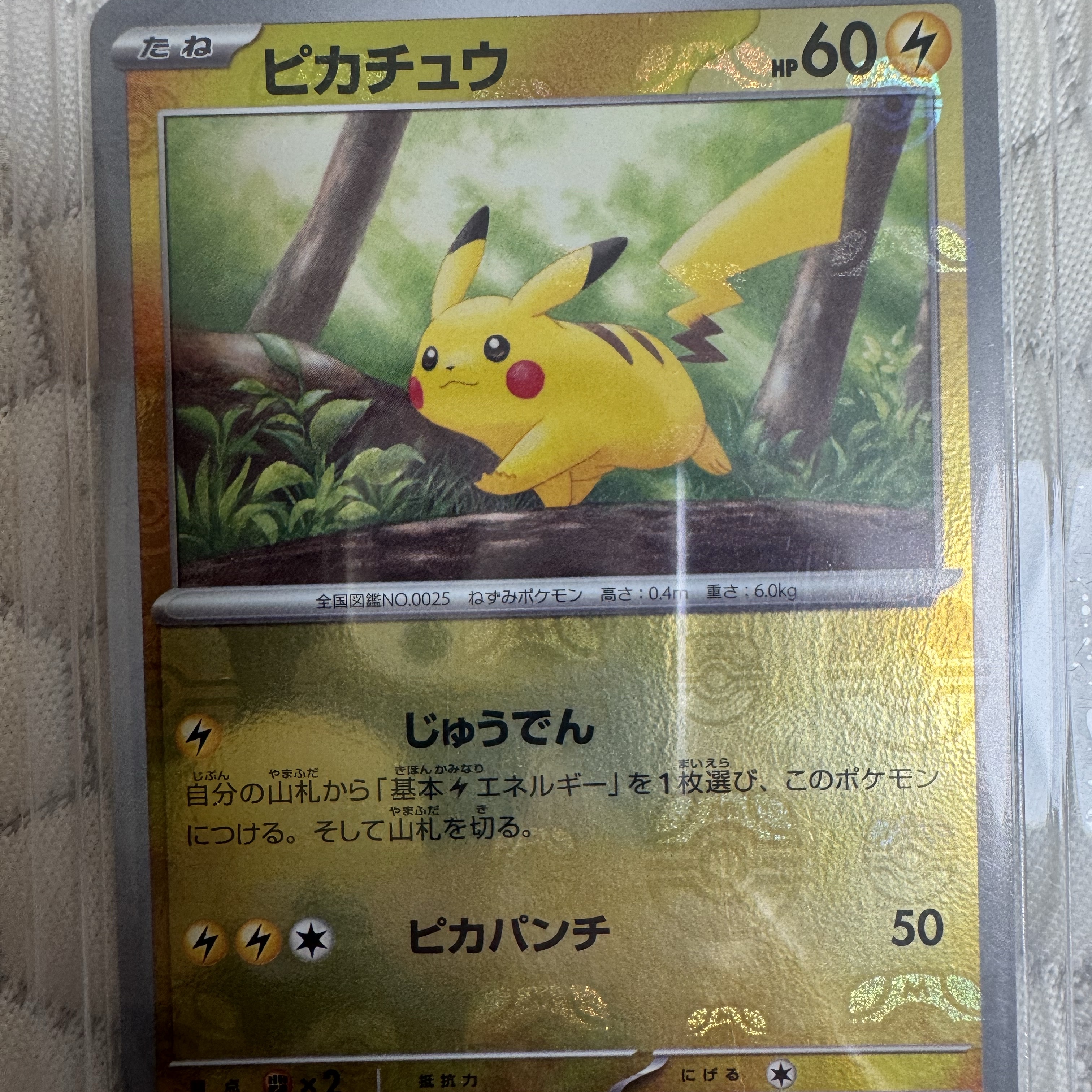 Pokemon TCG Scarlet & Violet Enhanced Expansion Pack Pokemon Card 151 Box (Japanese Ver.) 착용 스타일 - 2