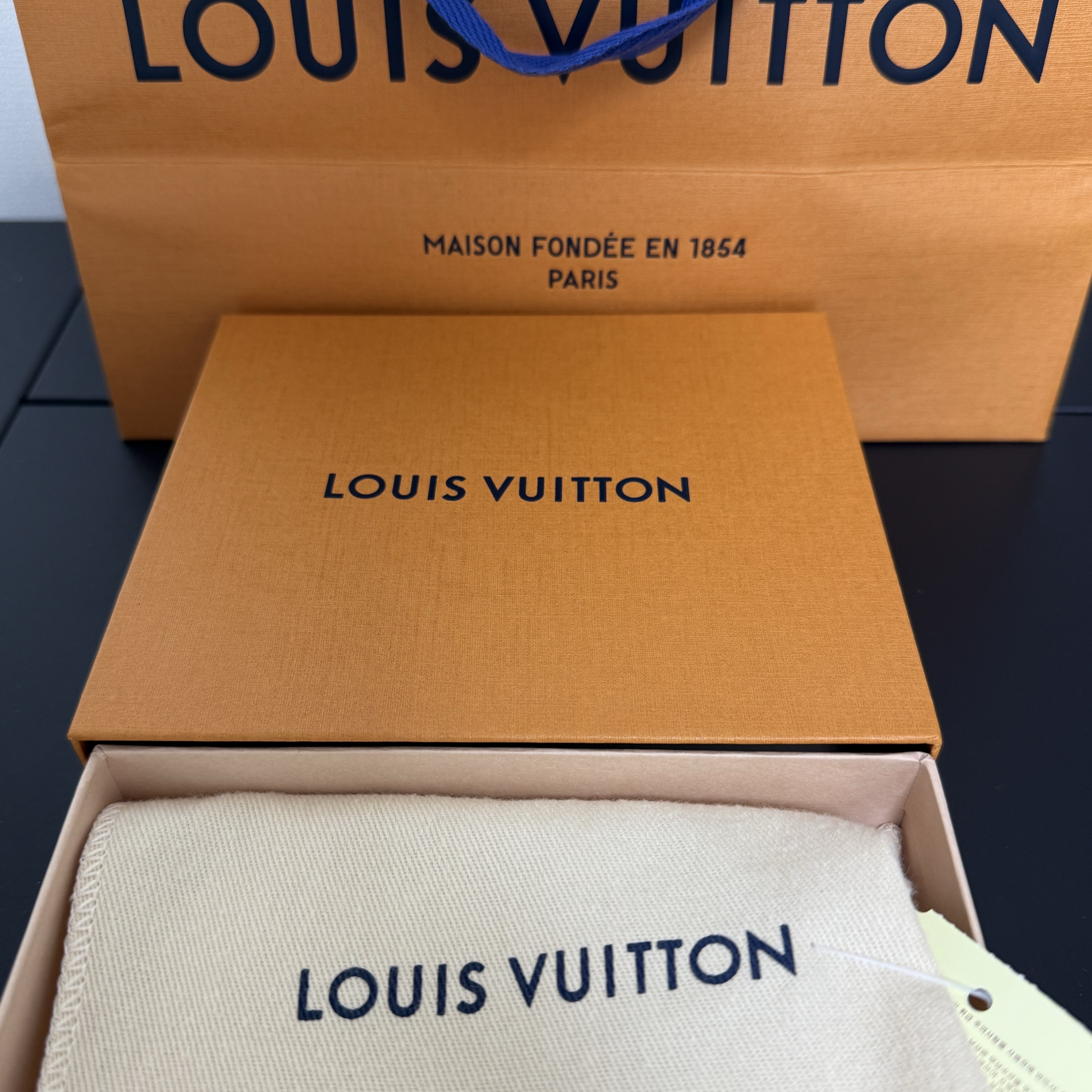 Louis Vuitton Multiple Wallet Monogram Shadow 착용 스타일 - 1