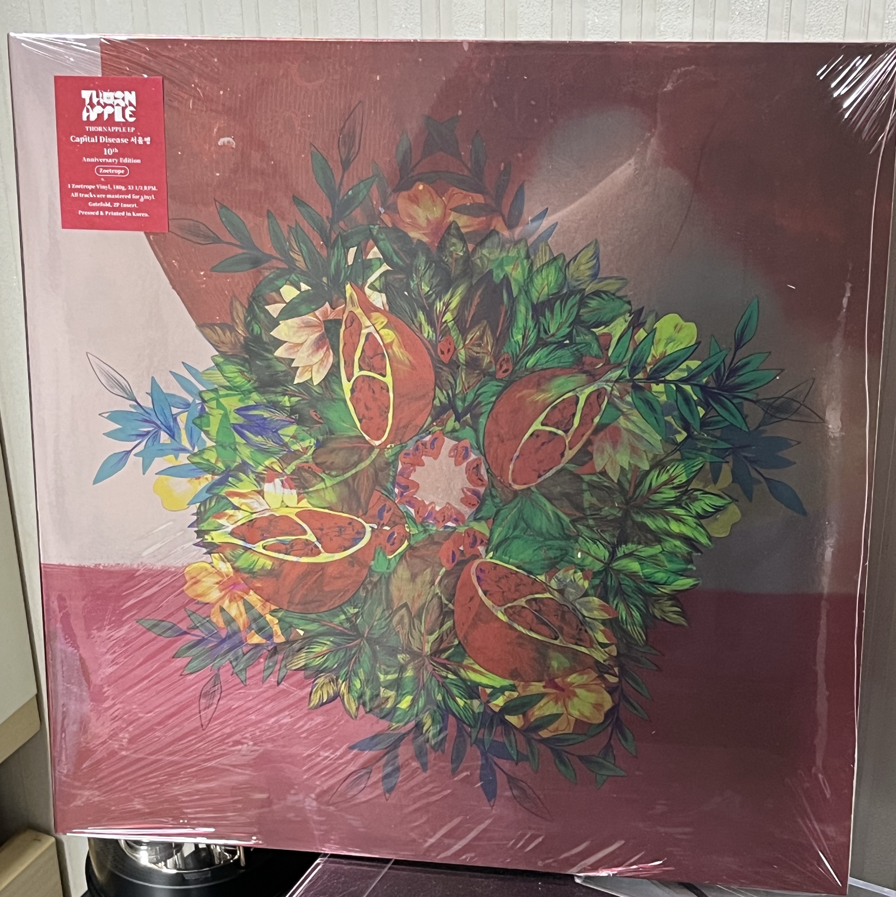 Thornapple 1st EP Capital Disease 10th Anniversary Edition LP Zoetrope 착용 스타일 - 1