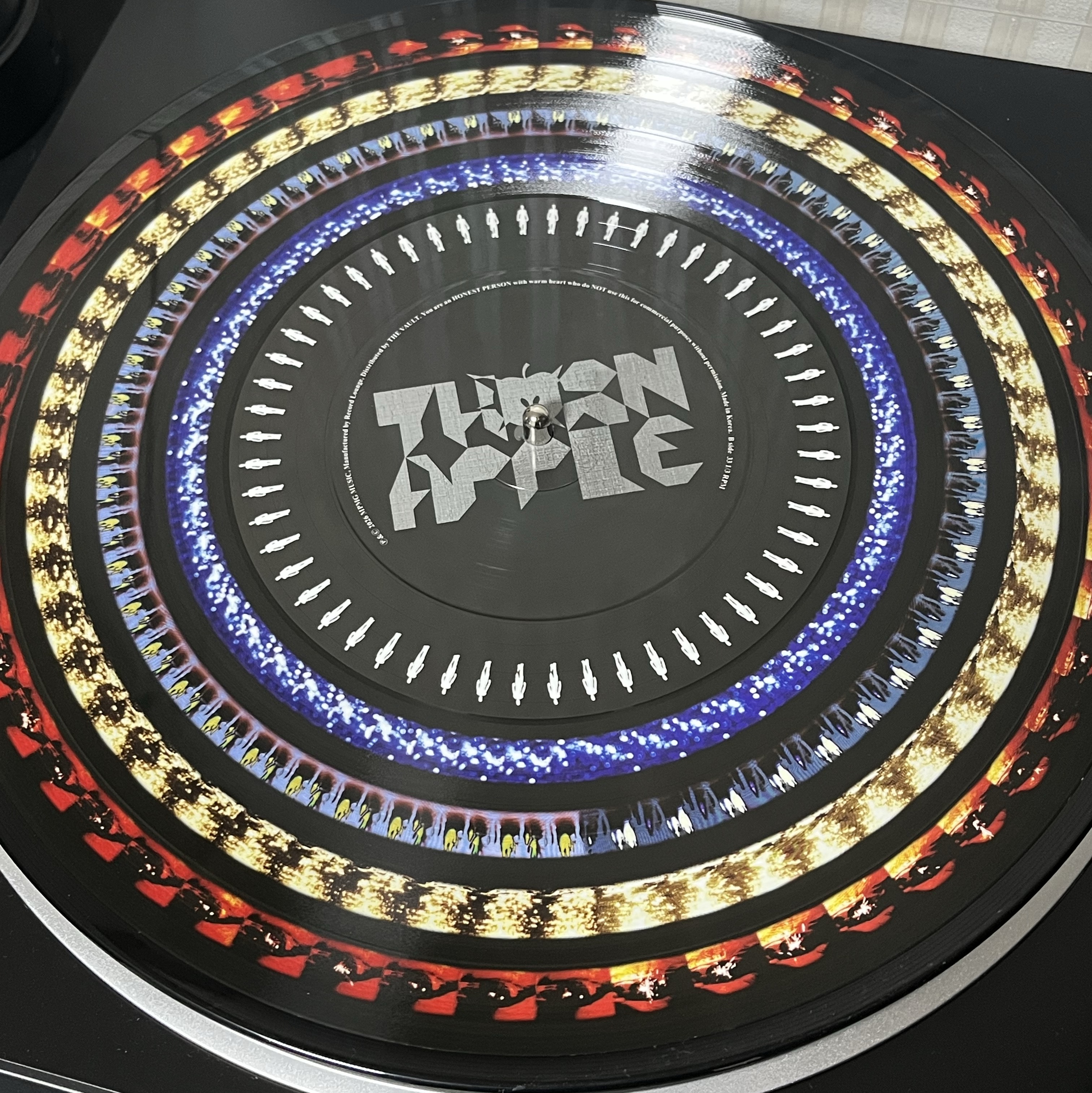 Thornapple 1st EP Capital Disease 10th Anniversary Edition LP Zoetrope 착용 스타일 - 2