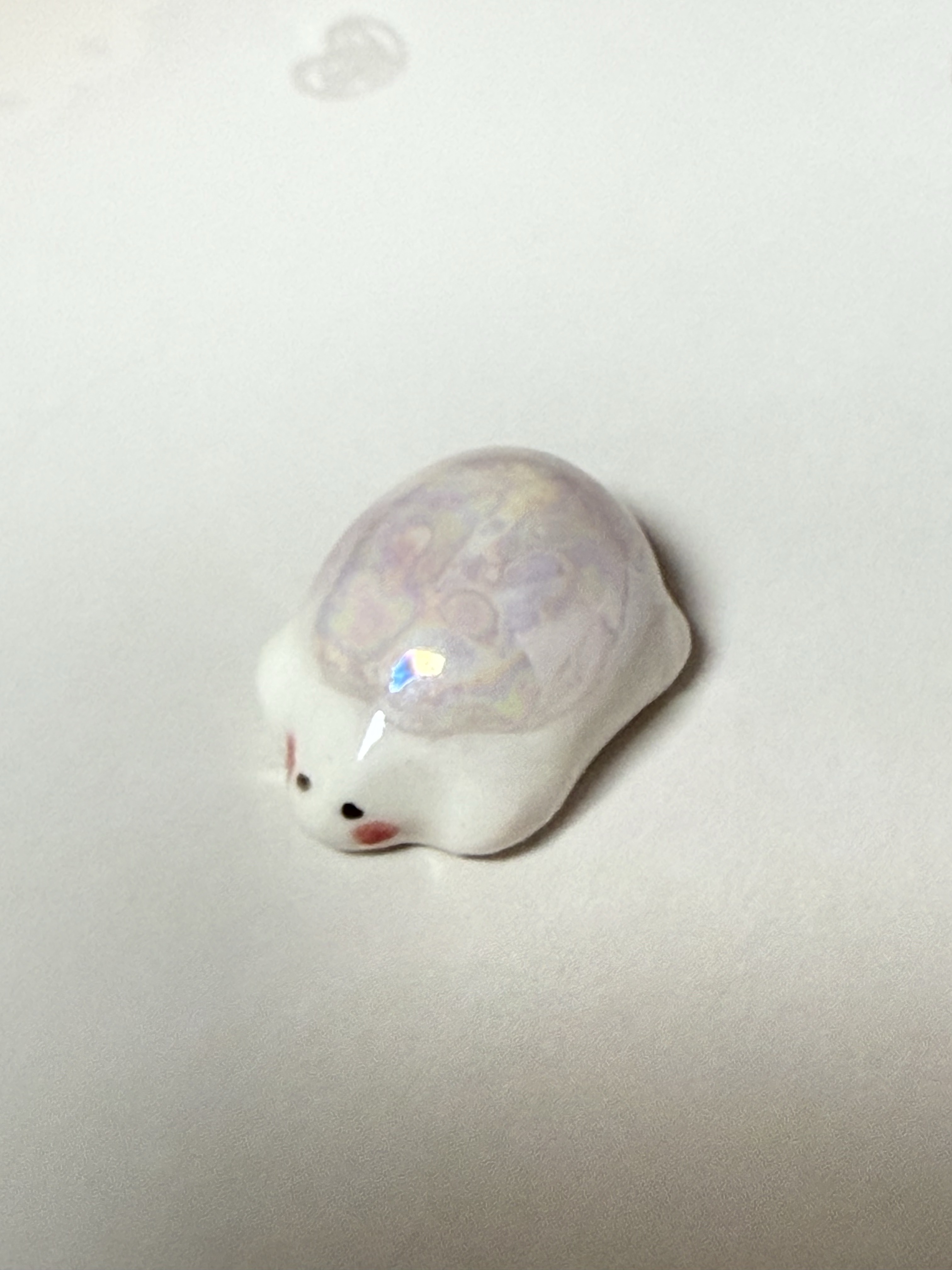 ANIMINI Lucky Turtle Pearl (2type) 착용 스타일 - 1