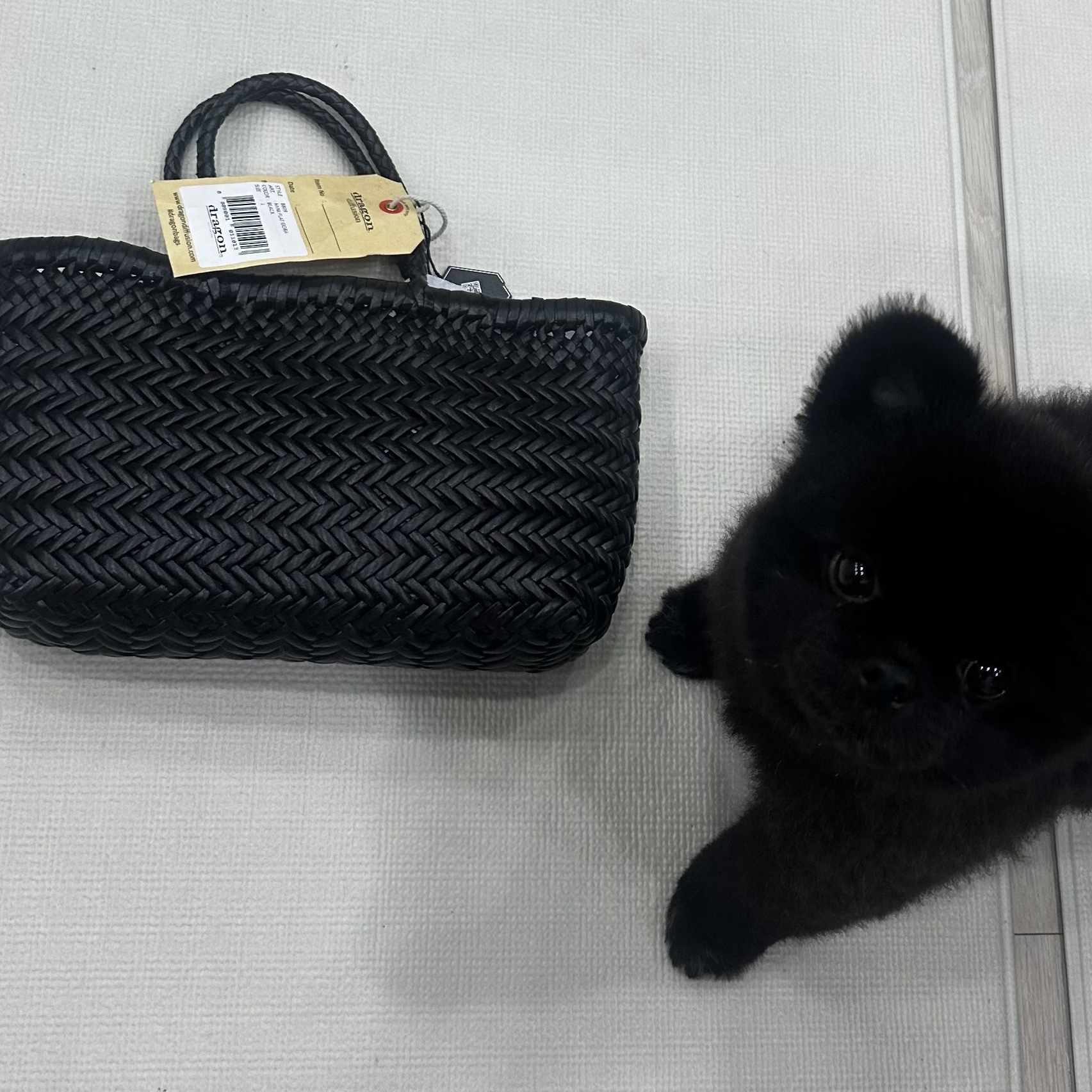 Dragon Diffusion Mini Flat Gora Black 착용 스타일