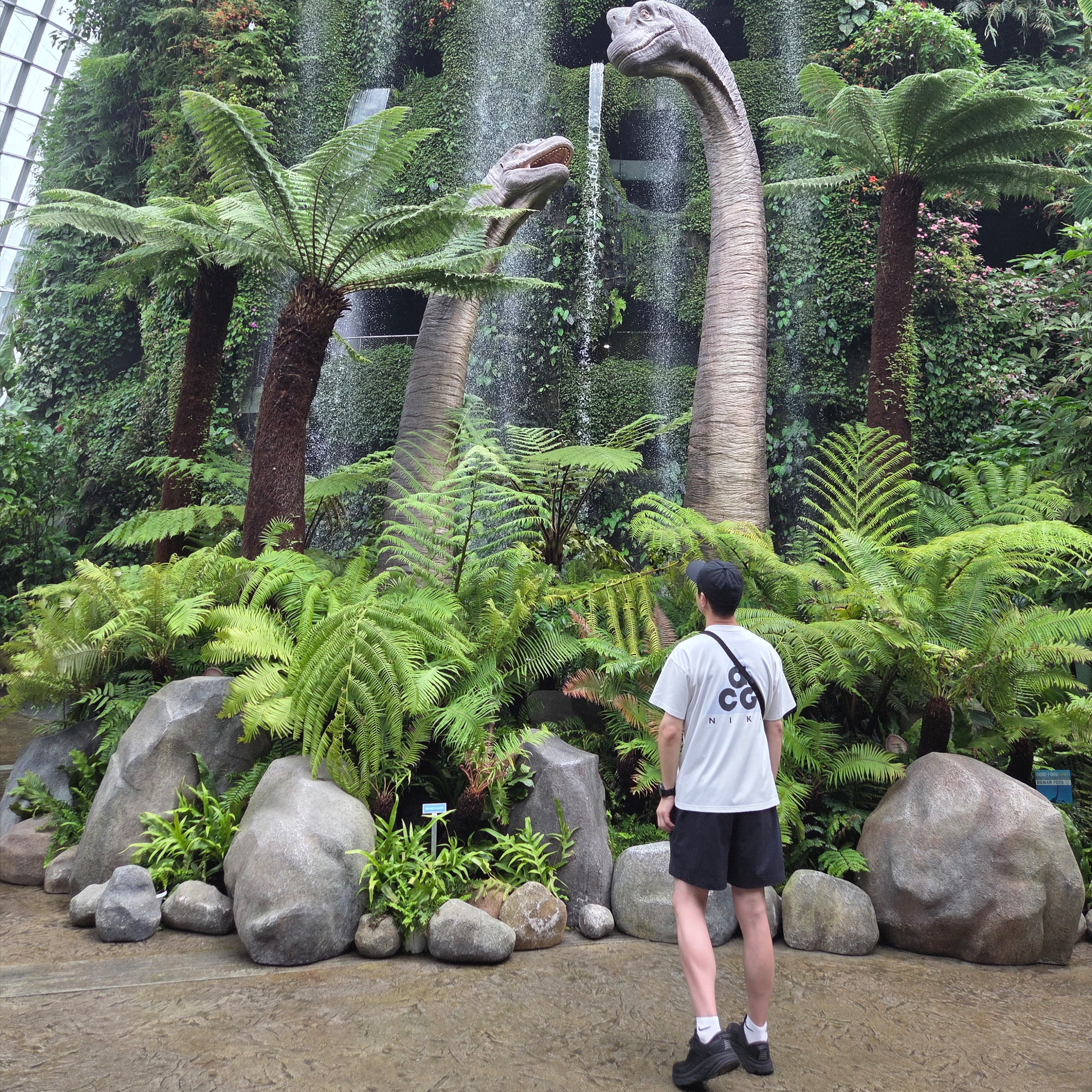 Nike ACG Hiking Shorts Black - Asia, Hoka Bondi 7 Black - Wide 착용 스타일