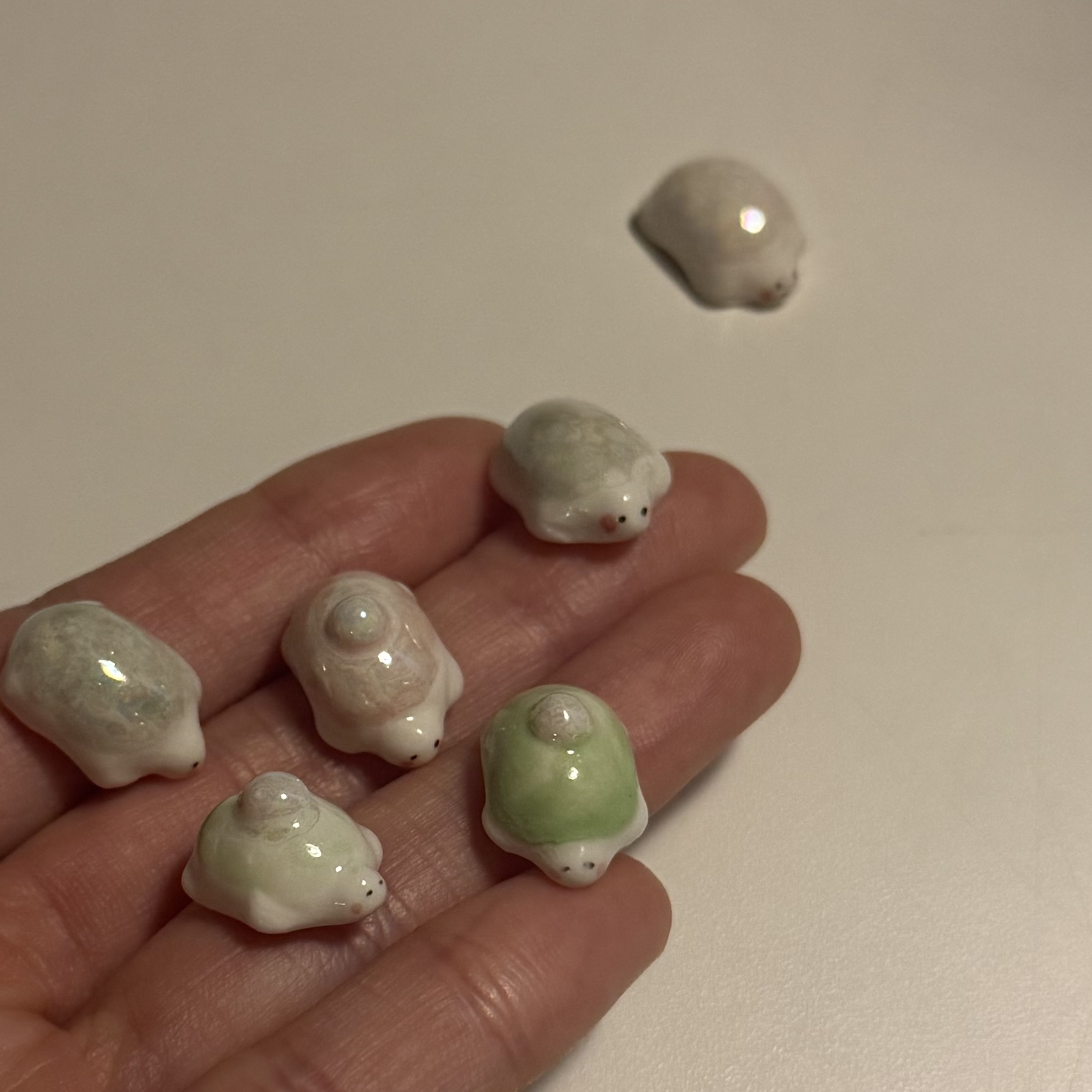 ANIMINI Lucky Turtle Pearl (2type) 착용 스타일