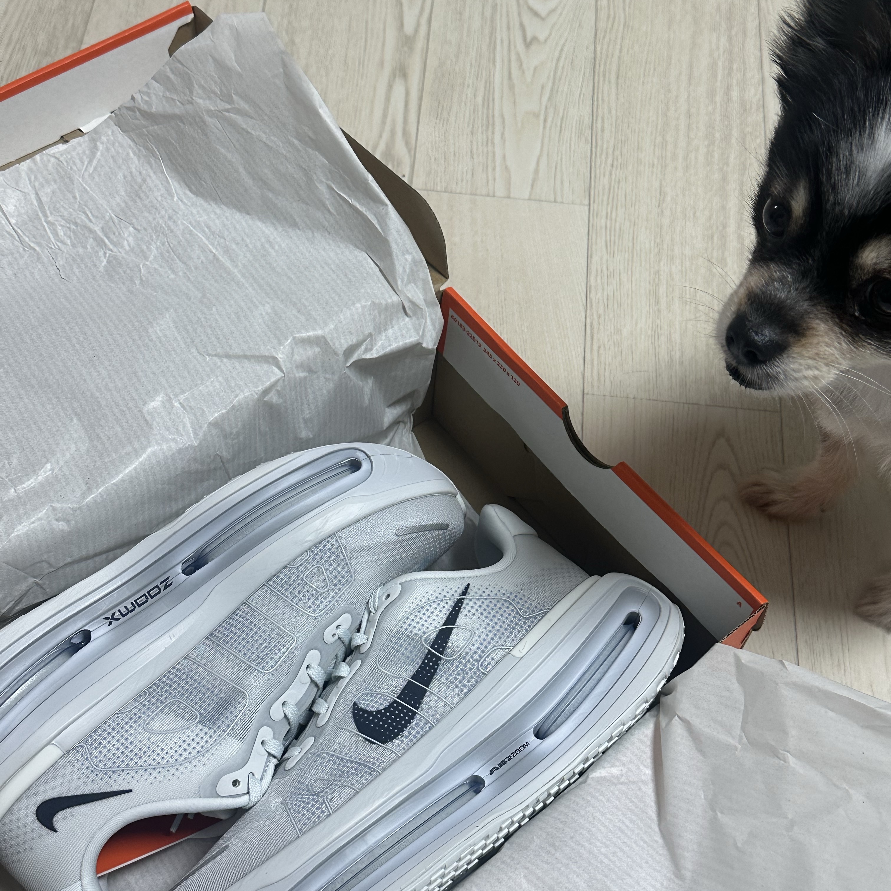 Nike Vomero Premium Off White Grey Fog 착용 스타일 - 8