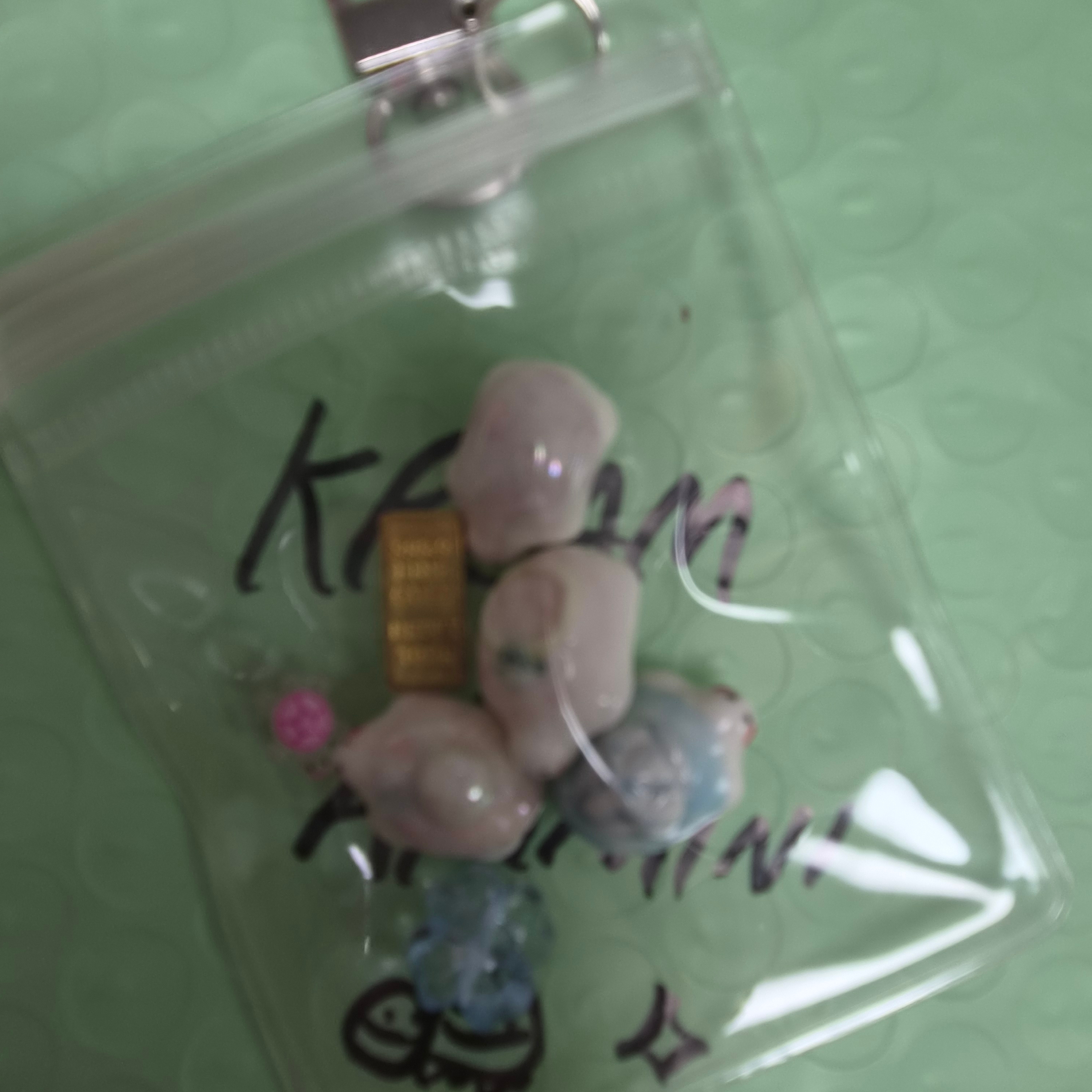 ANIMINI Lucky Turtle Pearl (2type), [KREAM 단독] ANIMINI Lucky Turtle 3D Jewel (5colors) 착용 스타일 - 2