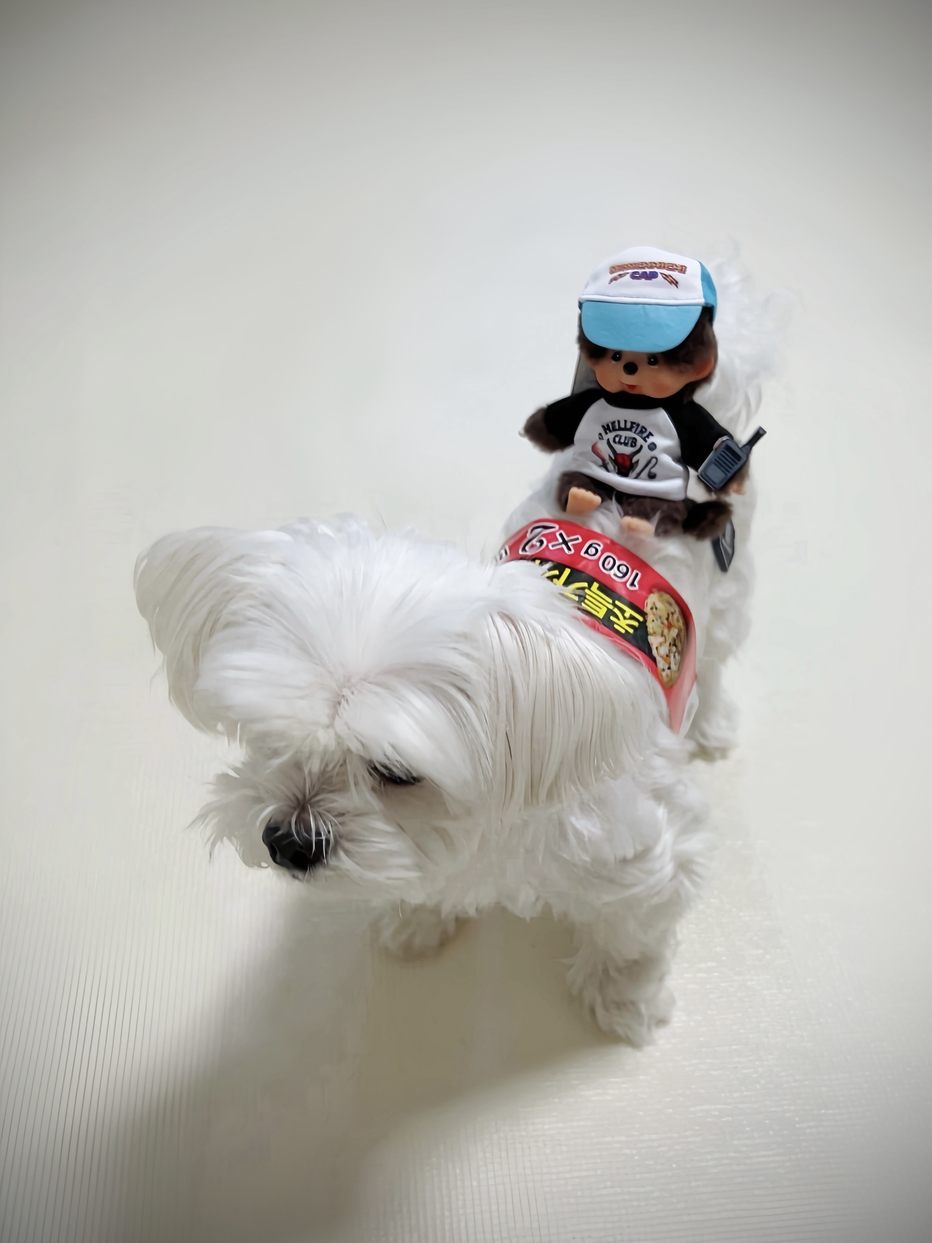 Monchhichi x Strange Things Key Chain Hellfire Club 착용 스타일 - 3