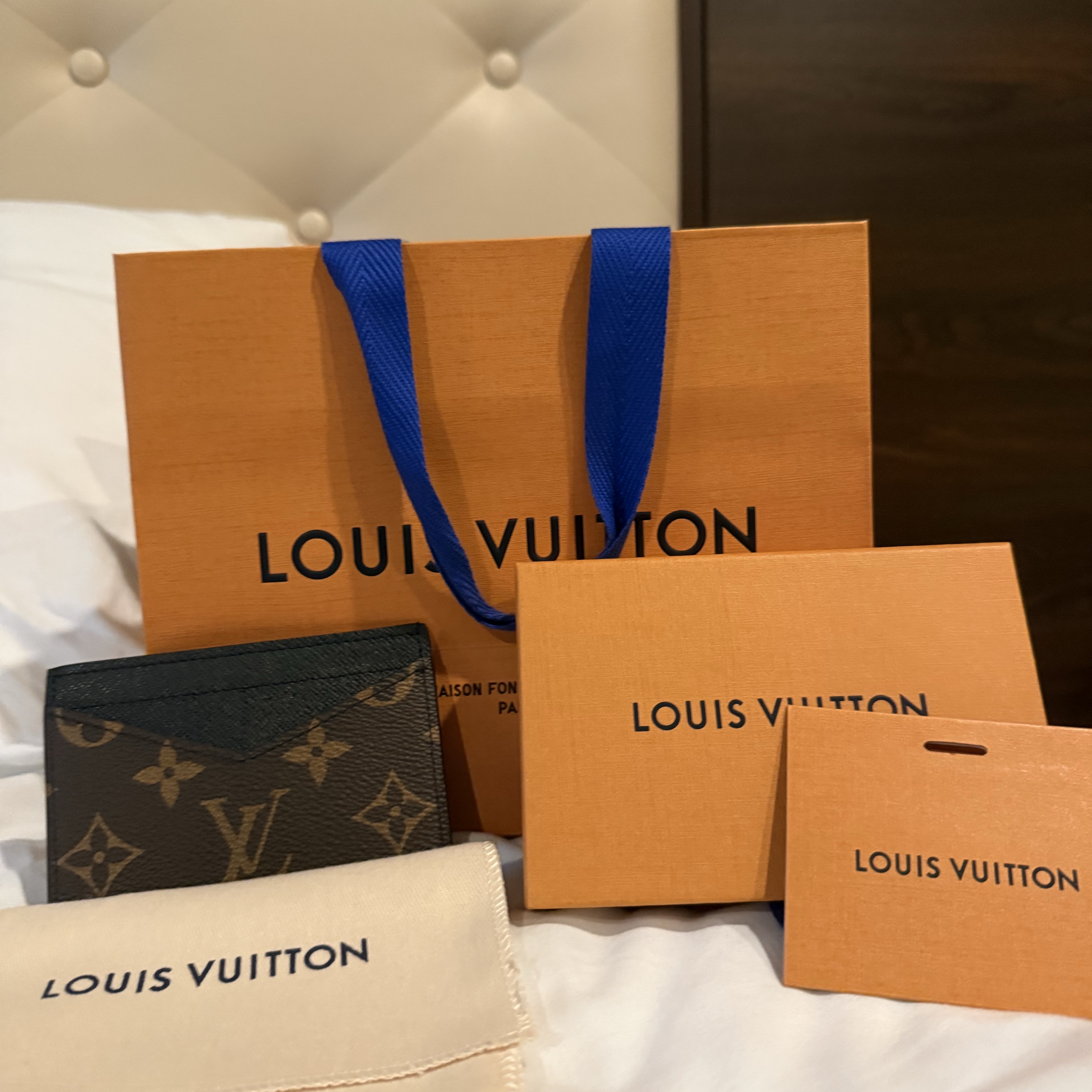 Louis Vuitton Neo Card Holder Monogram Macassar 착용 스타일