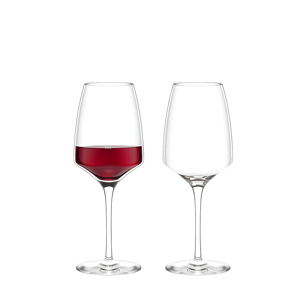 STOZLE010 Stölzle Experience Red Wine Glass (450ml) Set of 2