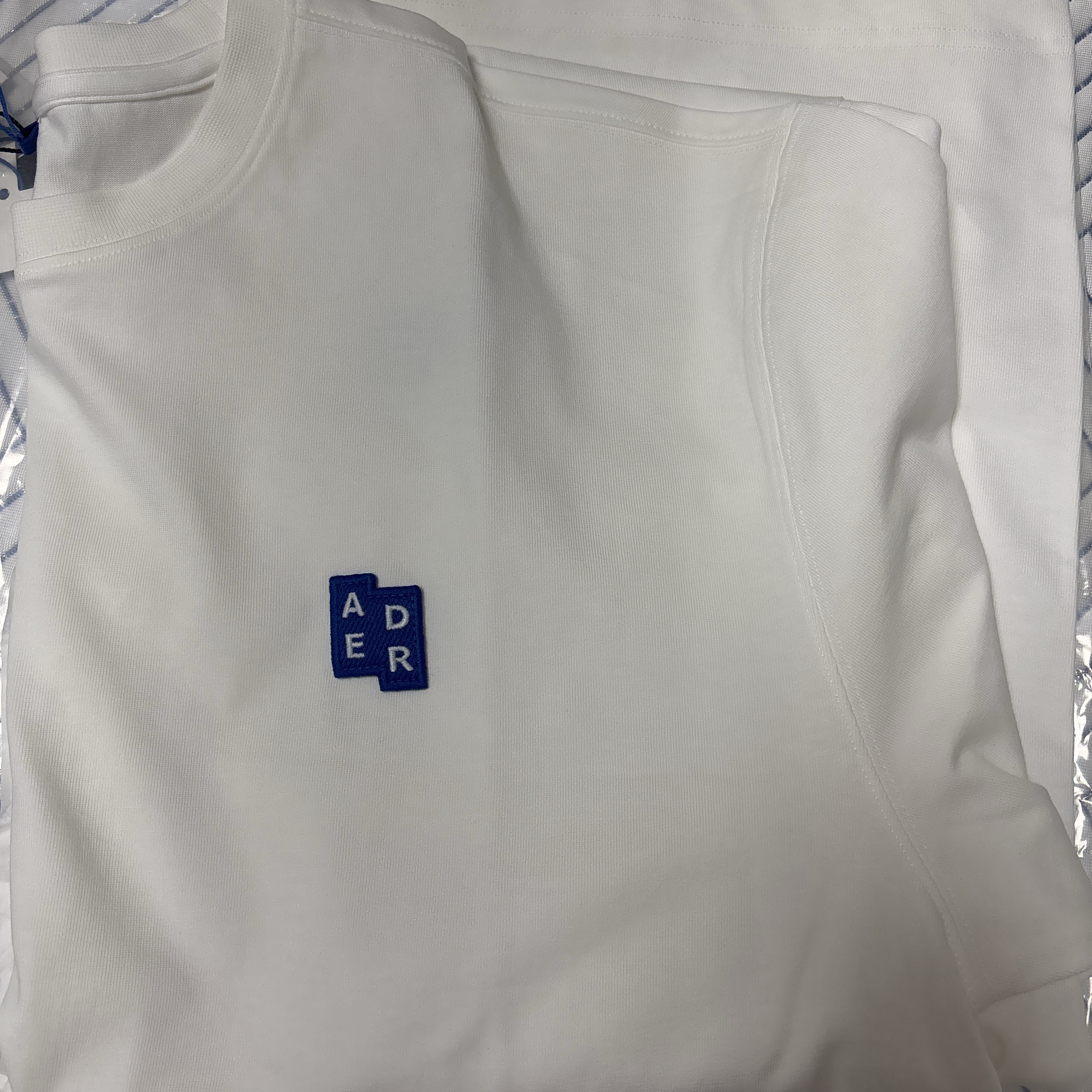 Ader Error Sig; TRS/BL Tag T-Shirt 01 Off White 착용 스타일