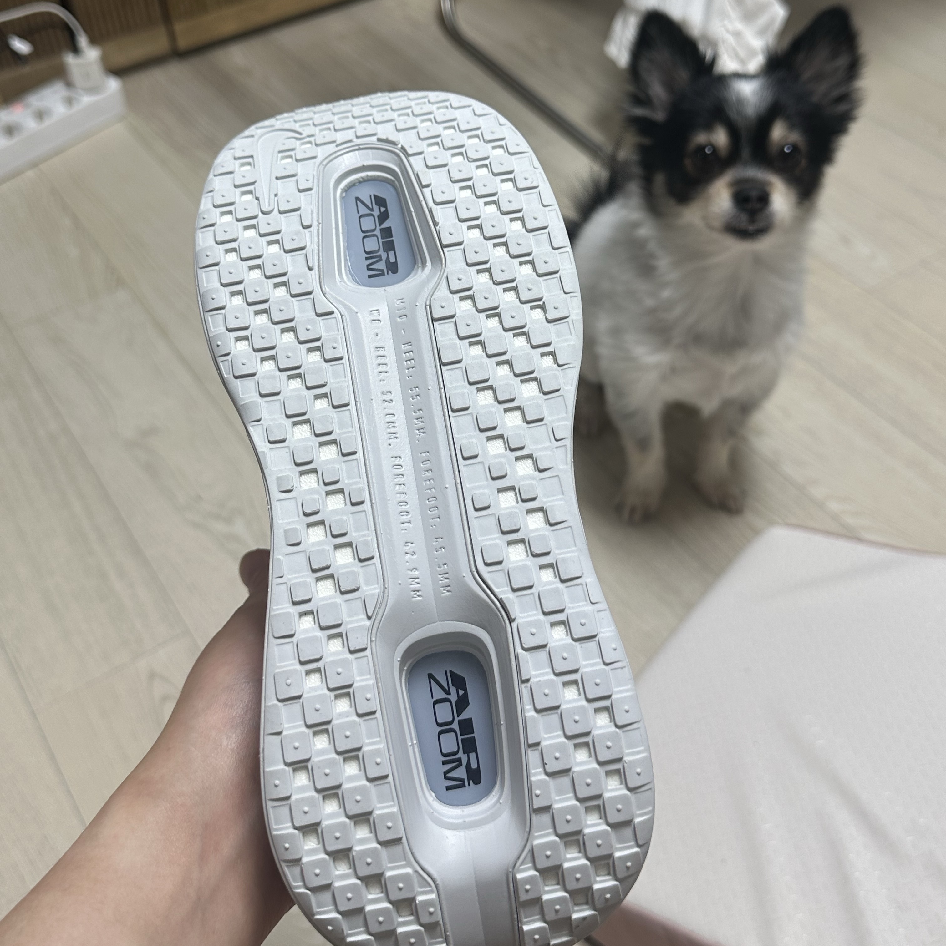 Nike Vomero Premium Off White Grey Fog 착용 스타일 - 4