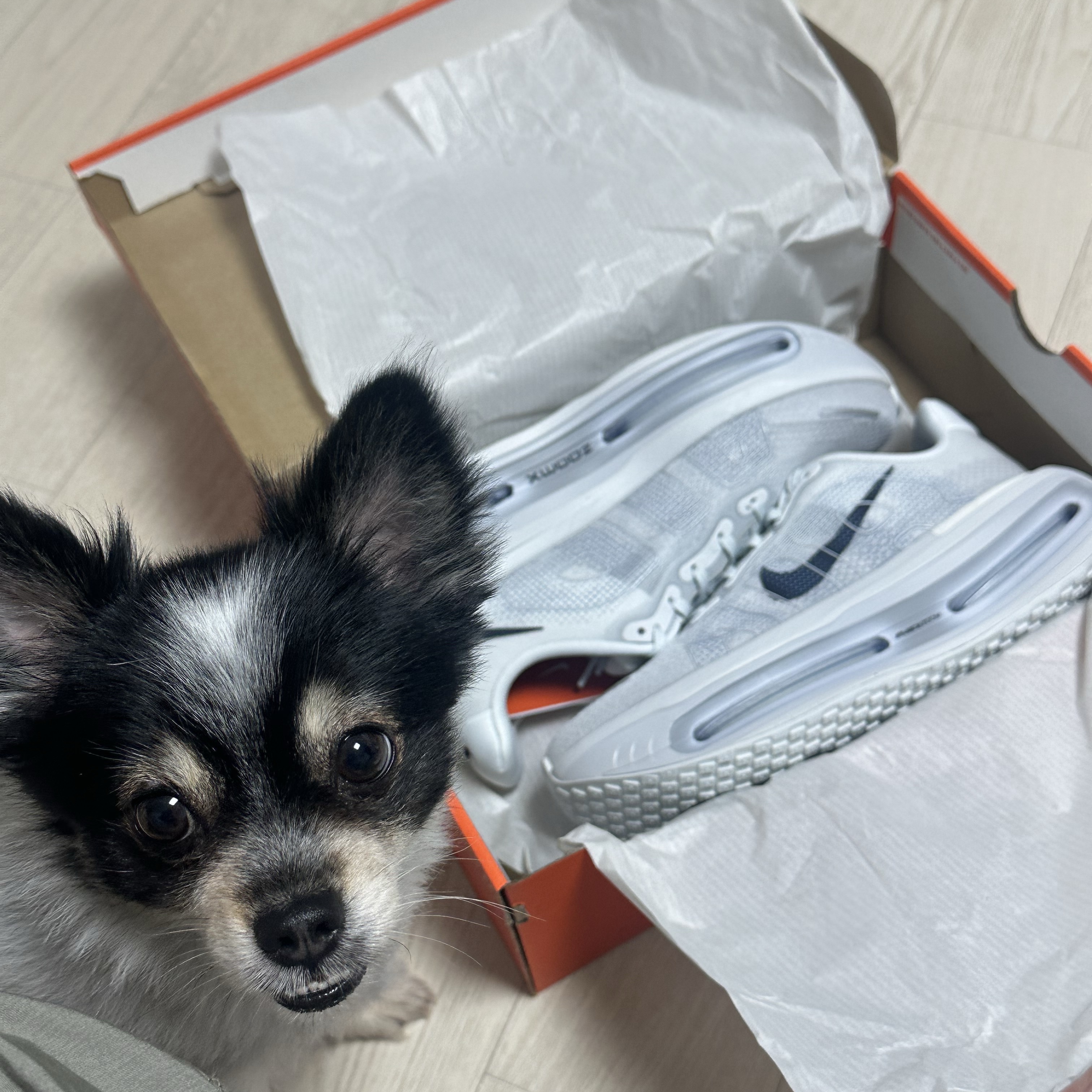 Nike Vomero Premium Off White Grey Fog 착용 스타일 - 6