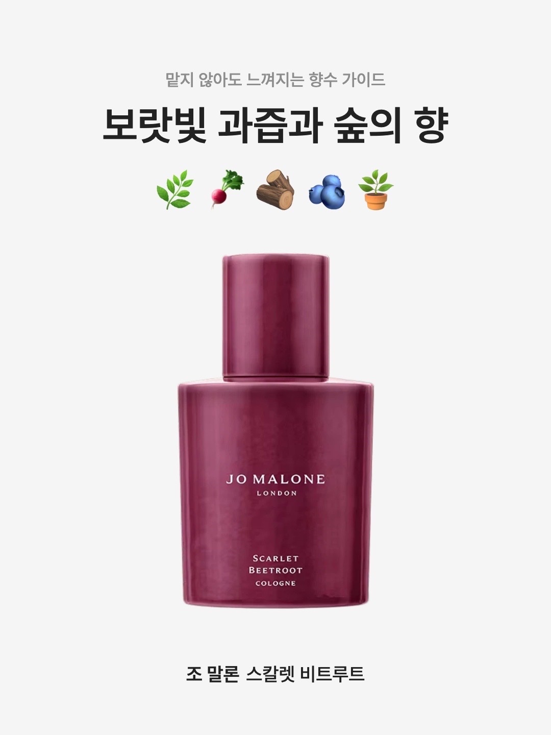 Jo Malone Scarlet Beetroot Cologne 30ml 착용 스타일 - 1