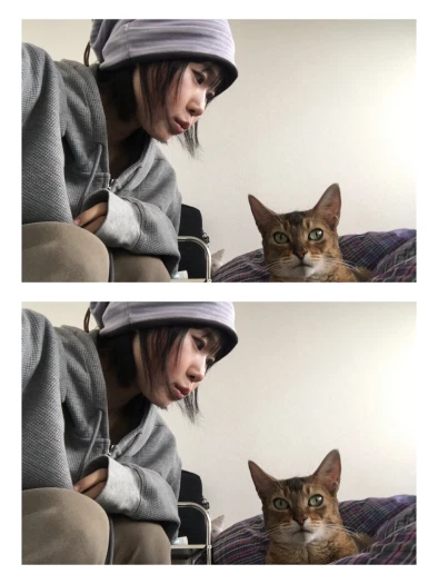 스타일 카드