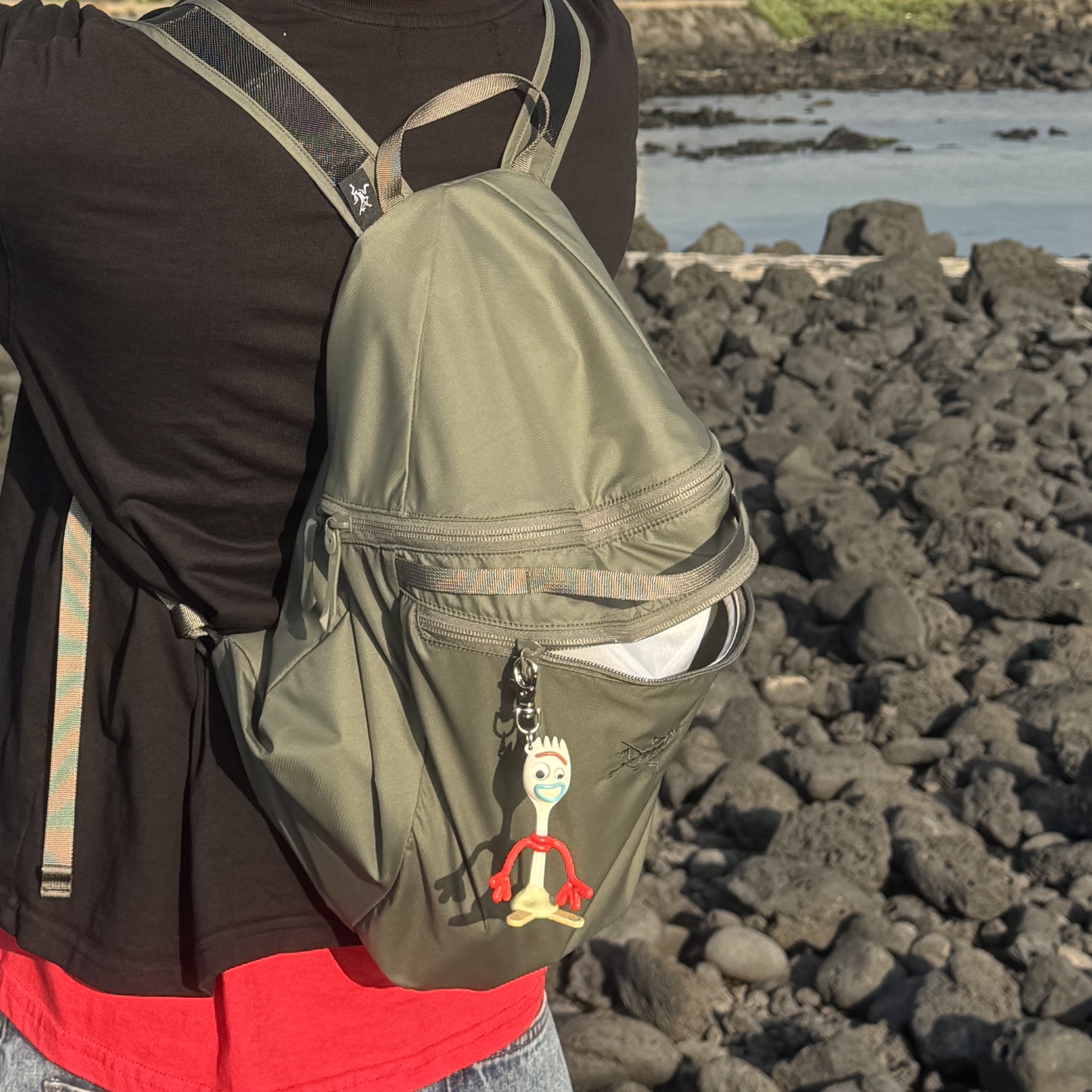 Arc'teryx Heliad 15 Backpack Forage 착용 스타일