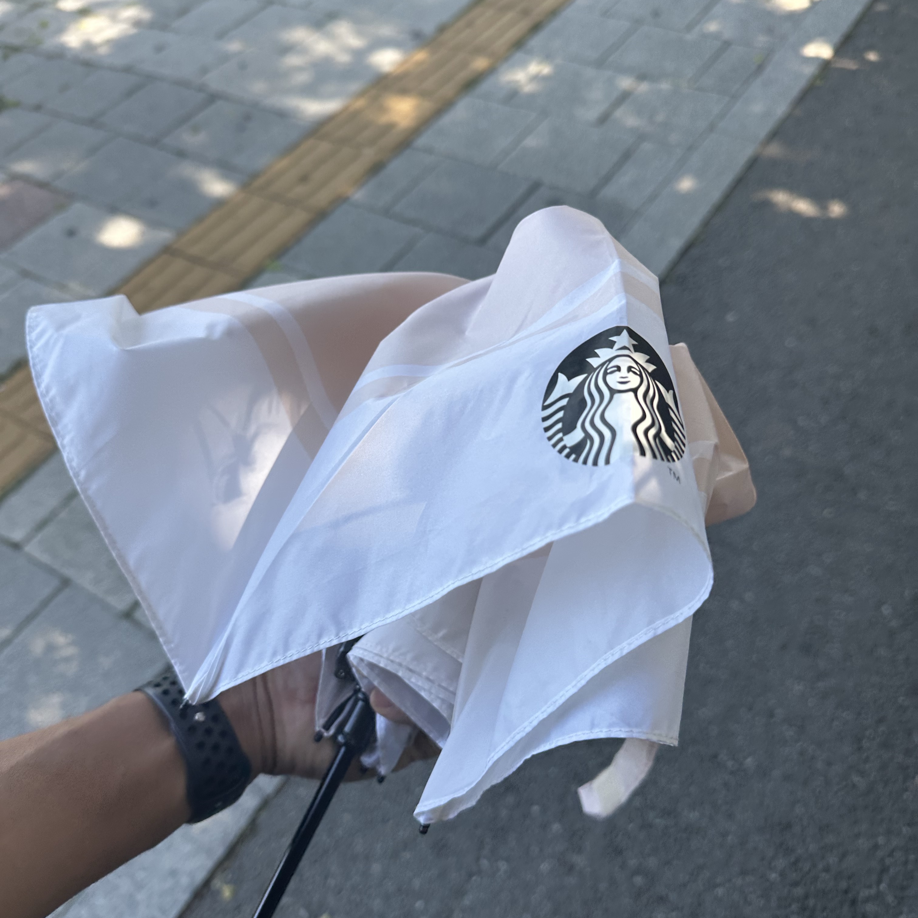 Starbucks Daily 3 Step Umbrella Cream Beige 착용 스타일
