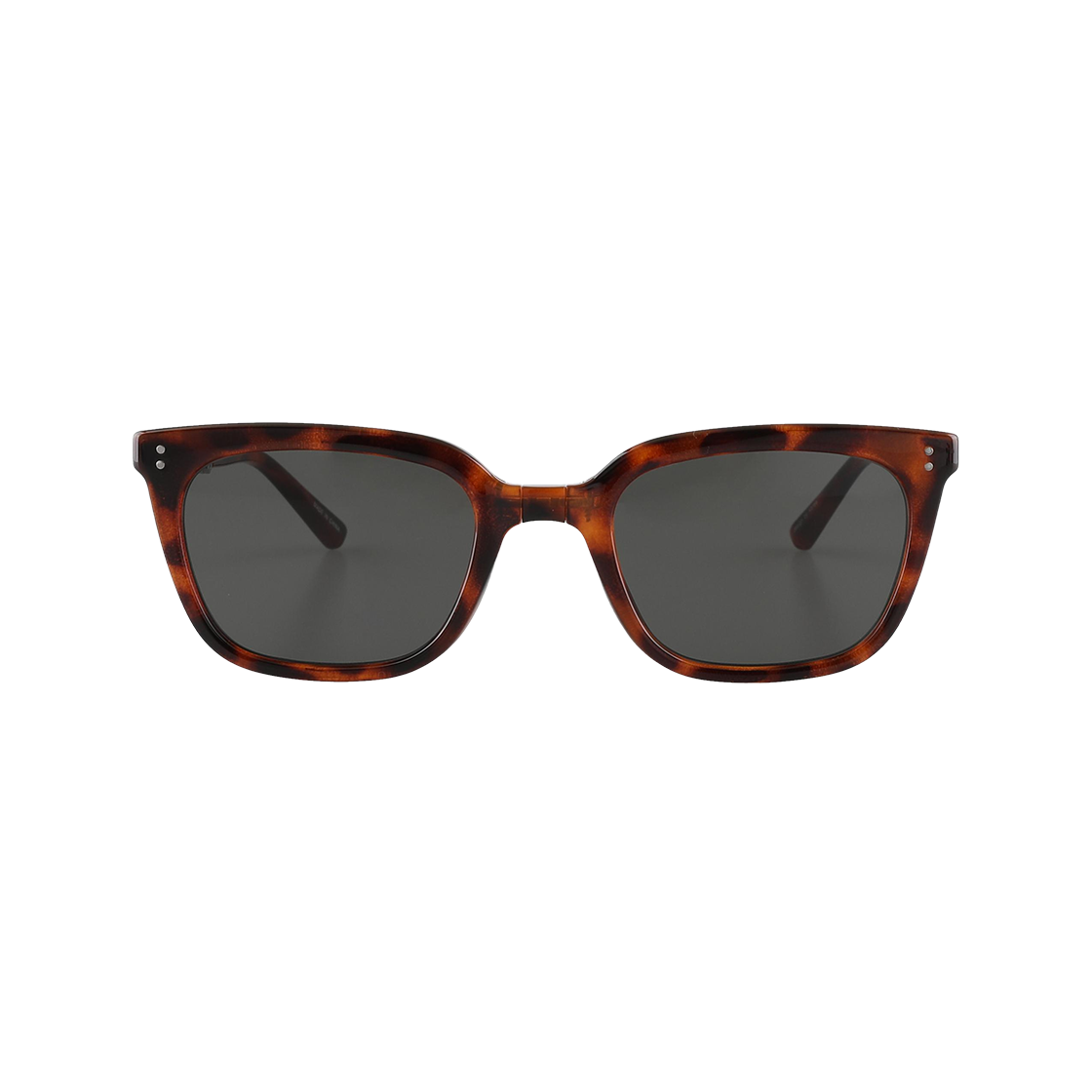 ARCANE C2 레오파드 2DITOR Unisex Big Size Square Retro Foldable Sunglasses C2 LEOPARD