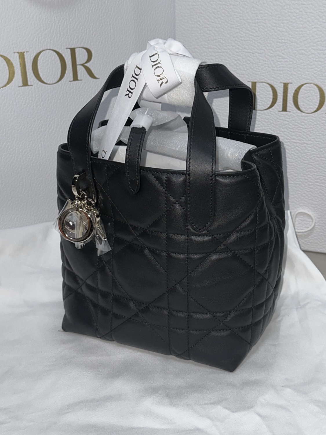Dior Small Toujours Vertical Tote Bag Macrocannage Calfskin Black 착용 스타일 - 2