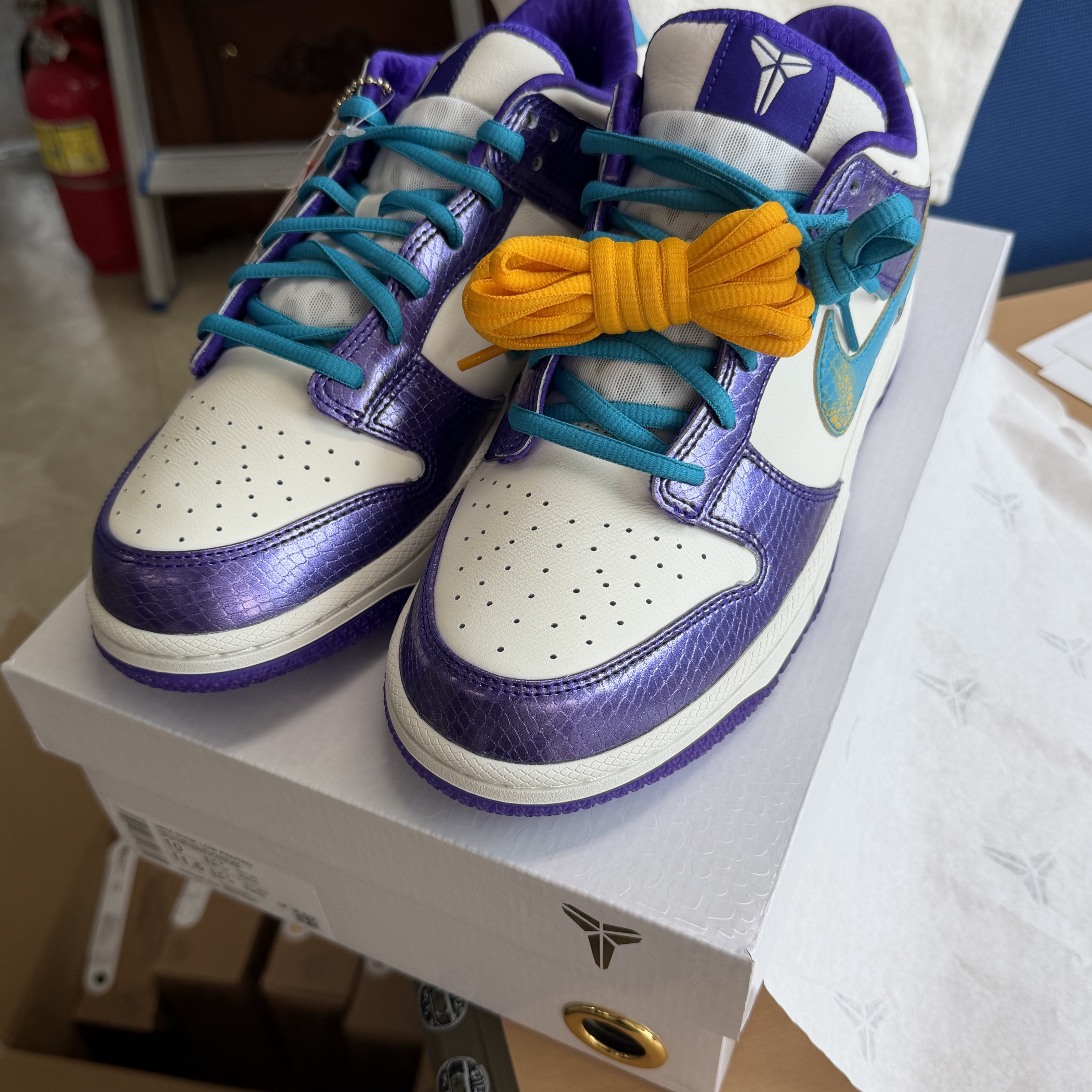 Nike Dunk Low Protro Draft Pack Charlotte to LA 착용 스타일