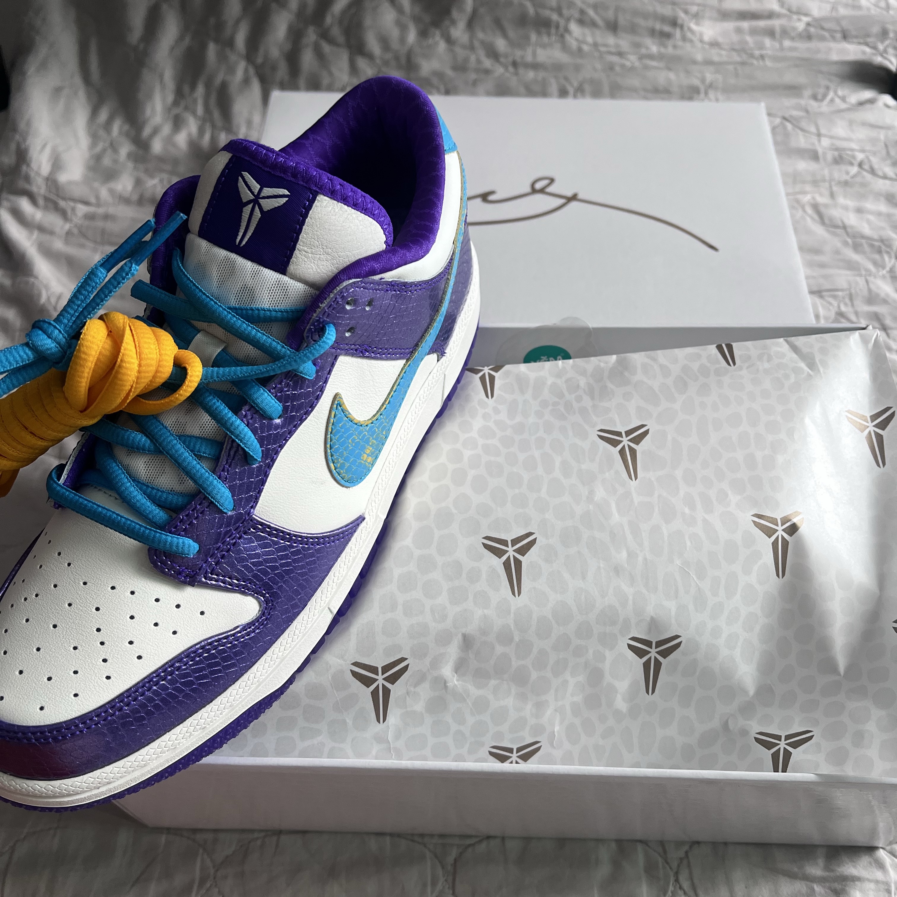 Nike Dunk Low Protro Draft Pack Charlotte to LA 착용 스타일
