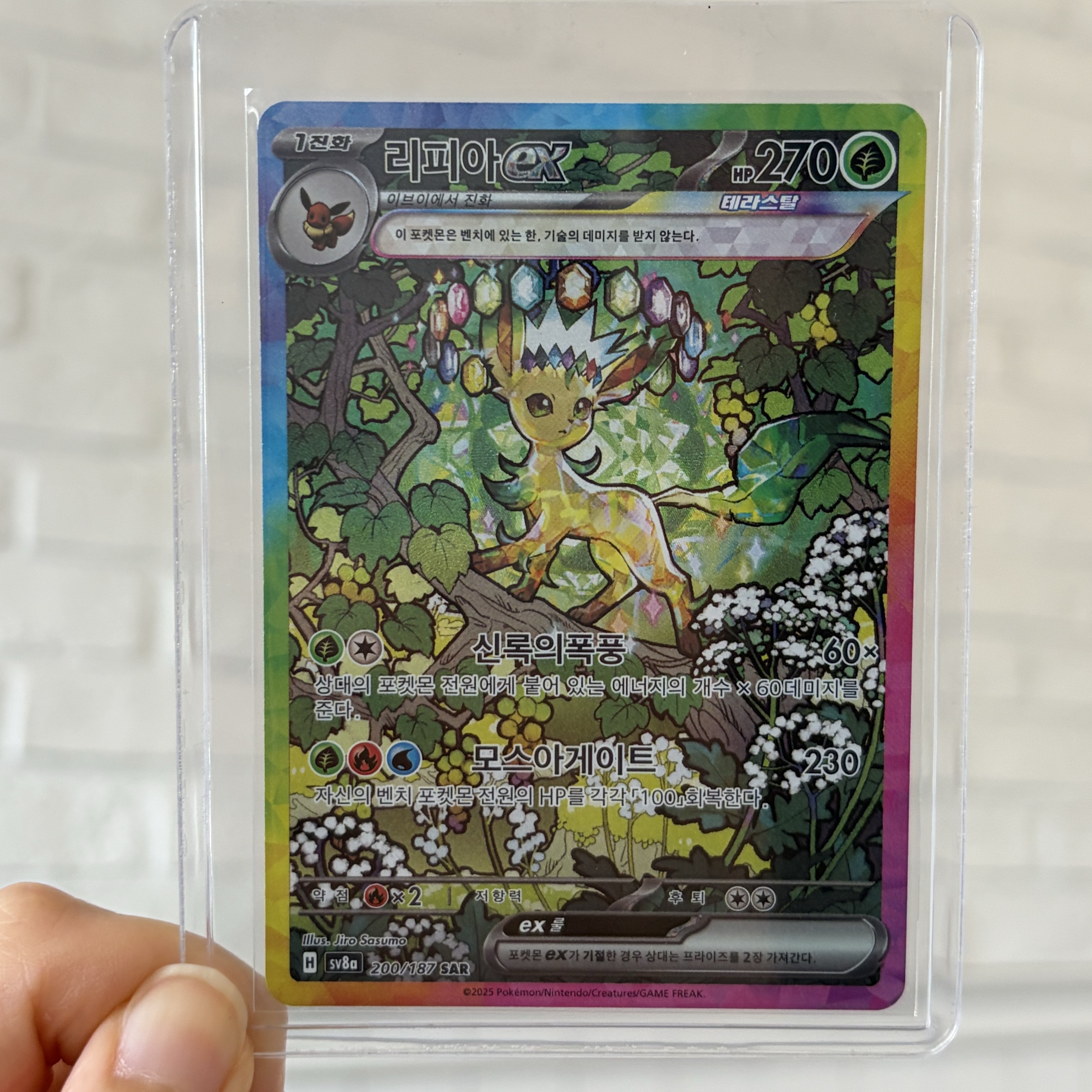 Pokemon TCG Leafeon ex SAR Terastal Fest ex (Korean Ver.), Pokemon TCG Leafeon ex SAR Terastal Fest ex (Japanese Ver.) 착용 스타일