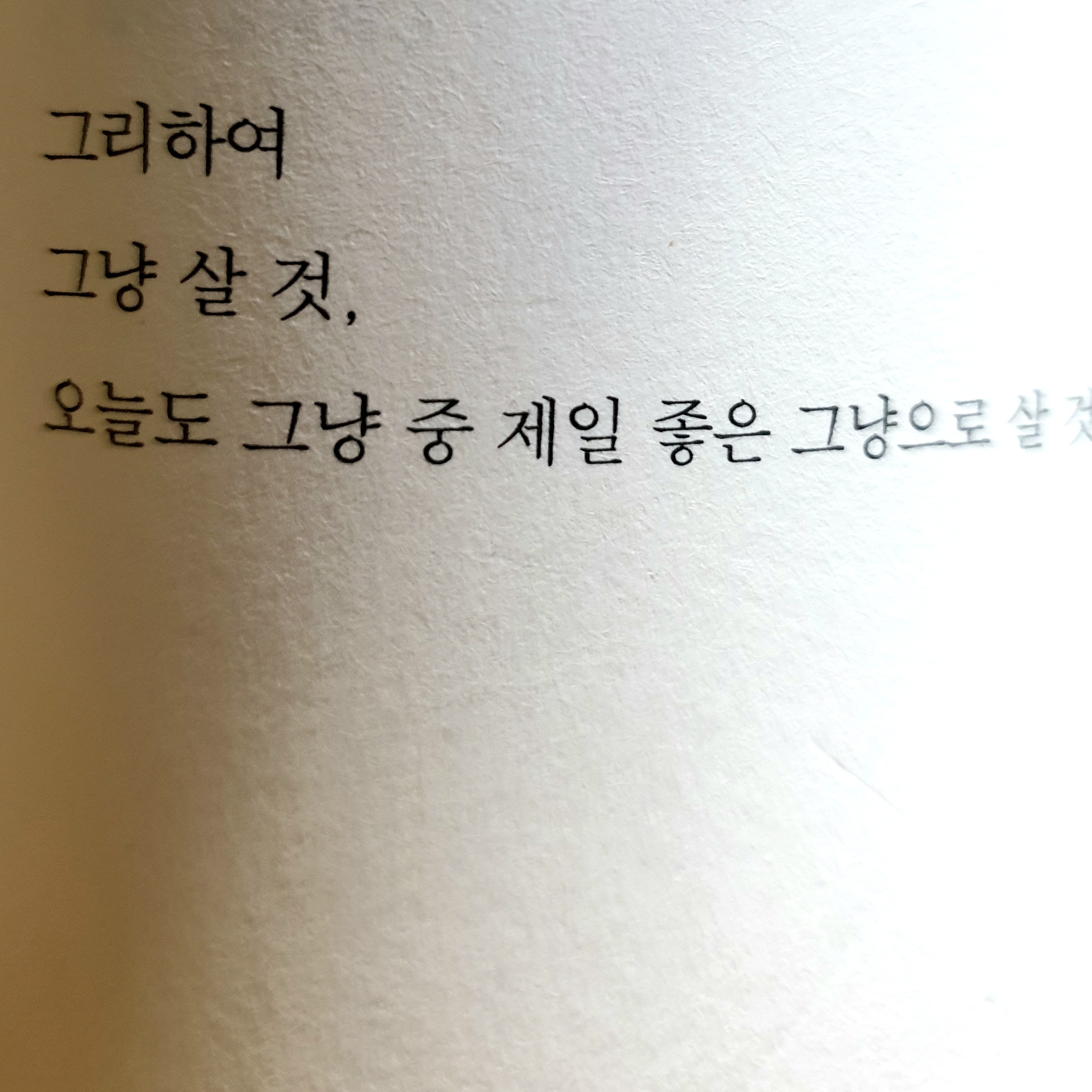 보통의 별일 없는,    지루한 행복.님의 스타일