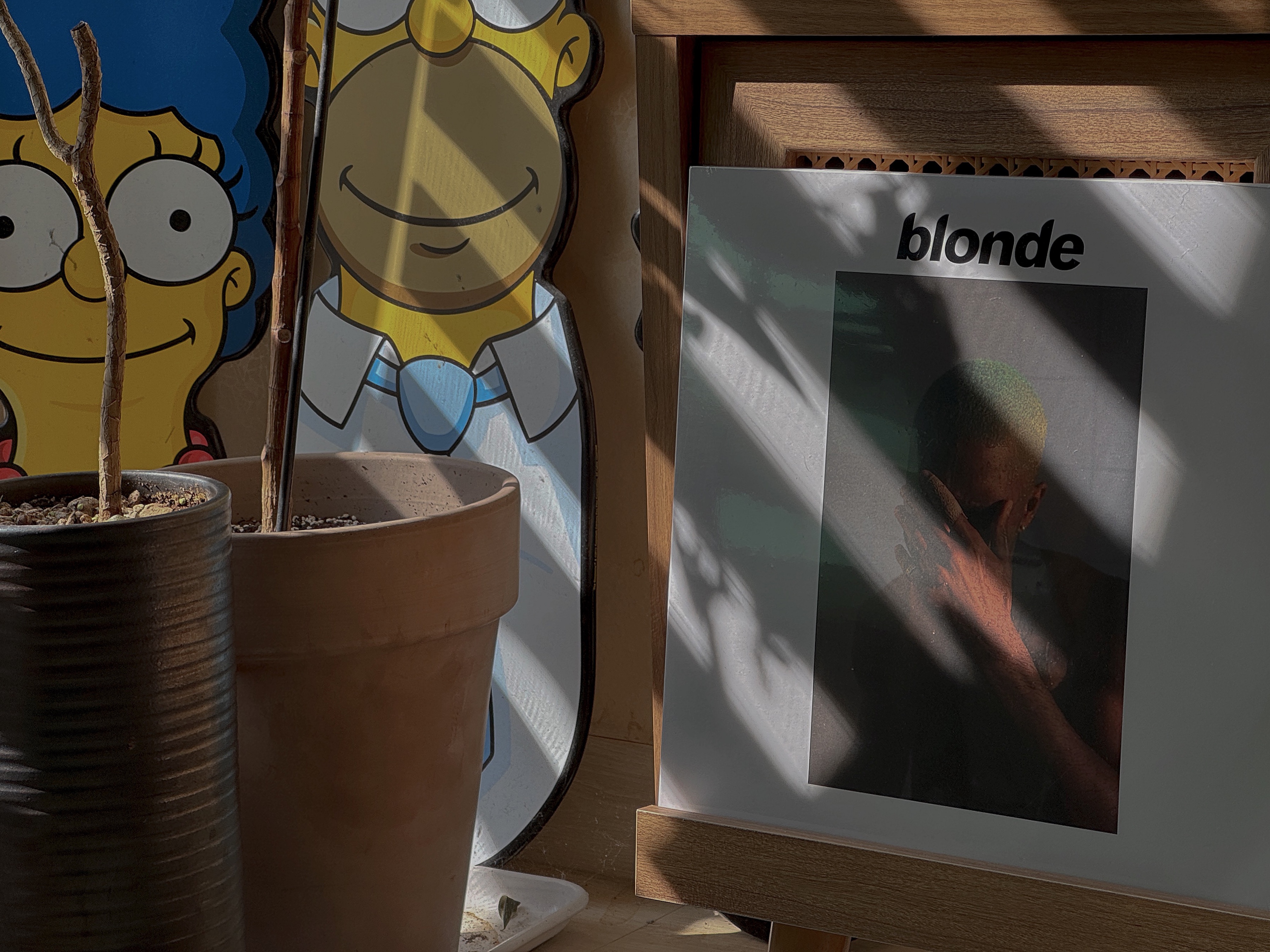 Frank Ocean Blonde Black (2LP) 착용 스타일