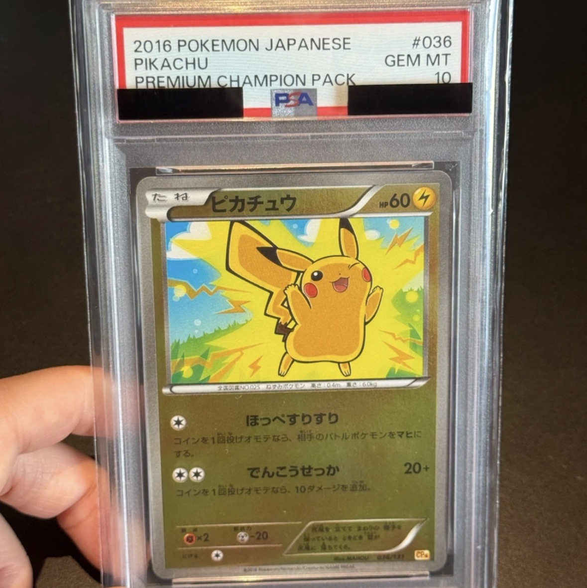 Pokemon TCG Pikachu ex x M x Break Premium Champion Pack (Japanese Ver.) 착용 스타일