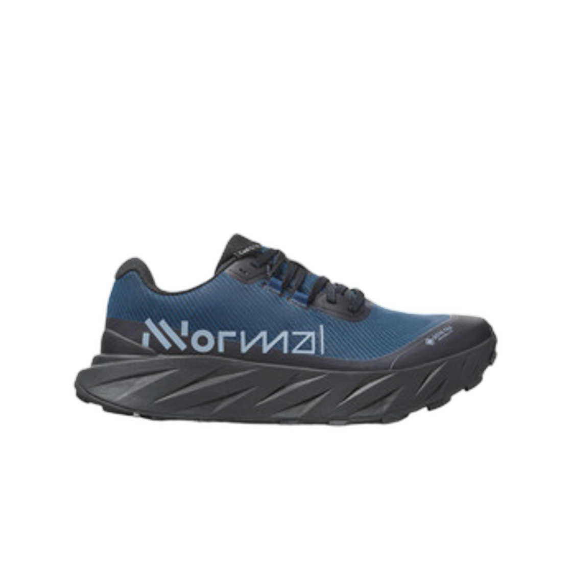 (W) 노말 카디 고어텍스 블루 블랙((W) Nnormal Cadí GTX Blue Black) - 1