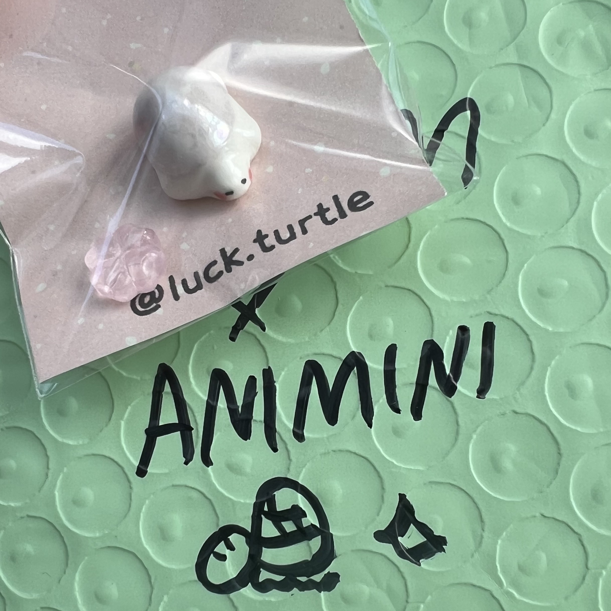 ANIMINI Lucky Turtle Pearl (2type) 착용 스타일 - 1