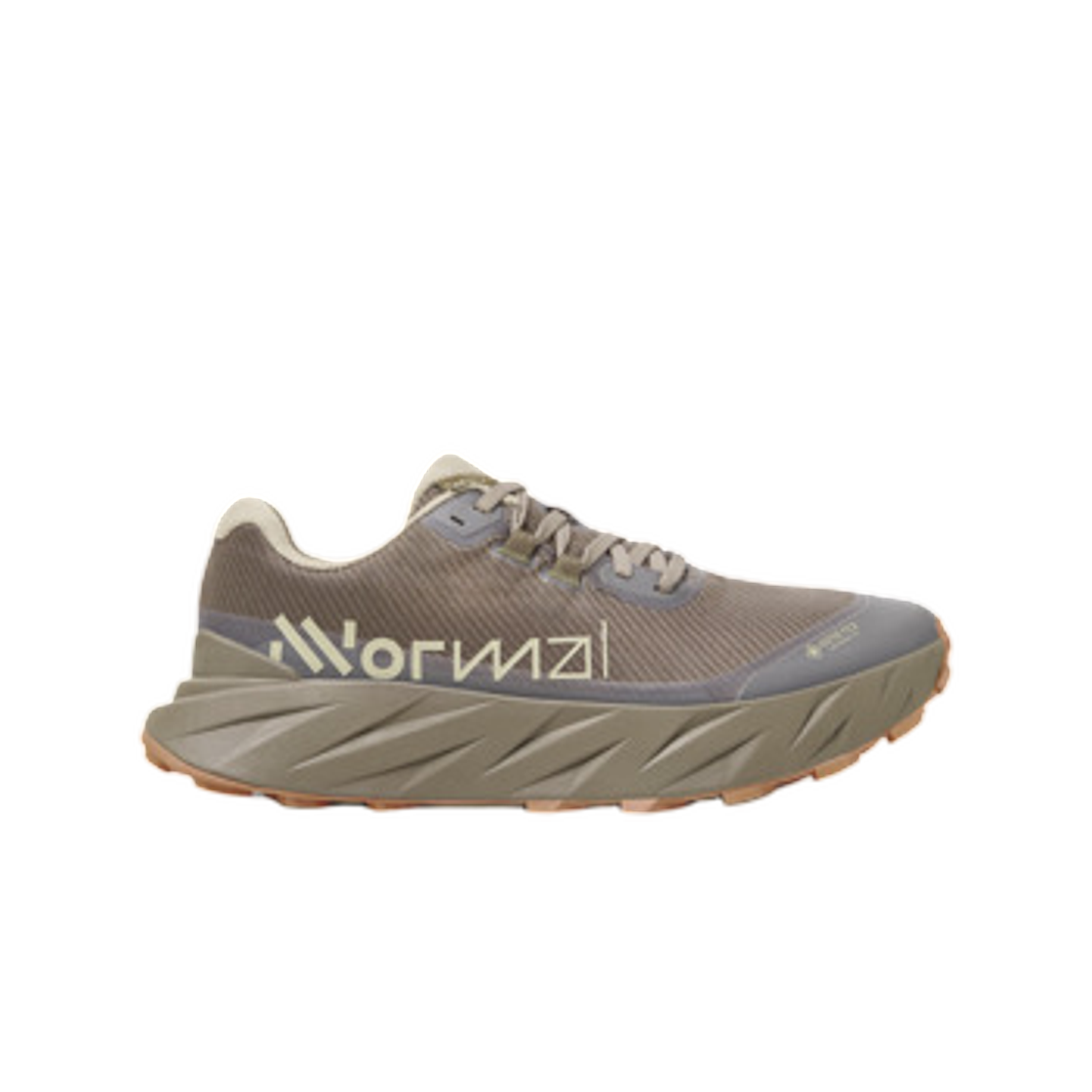 (W) 노말 카디 고어텍스 브라운((W) Nnormal Cadí GTX Brown) - 1